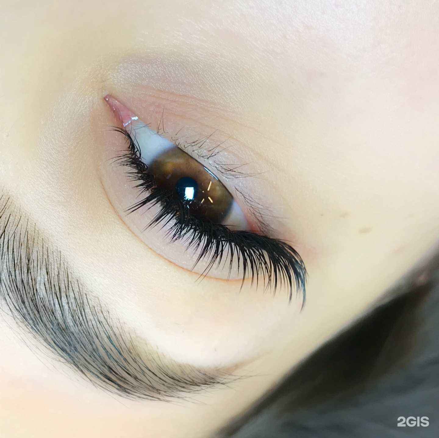 Отзывы на компанию Lash Expert  в Ростове-на-Дону c фото