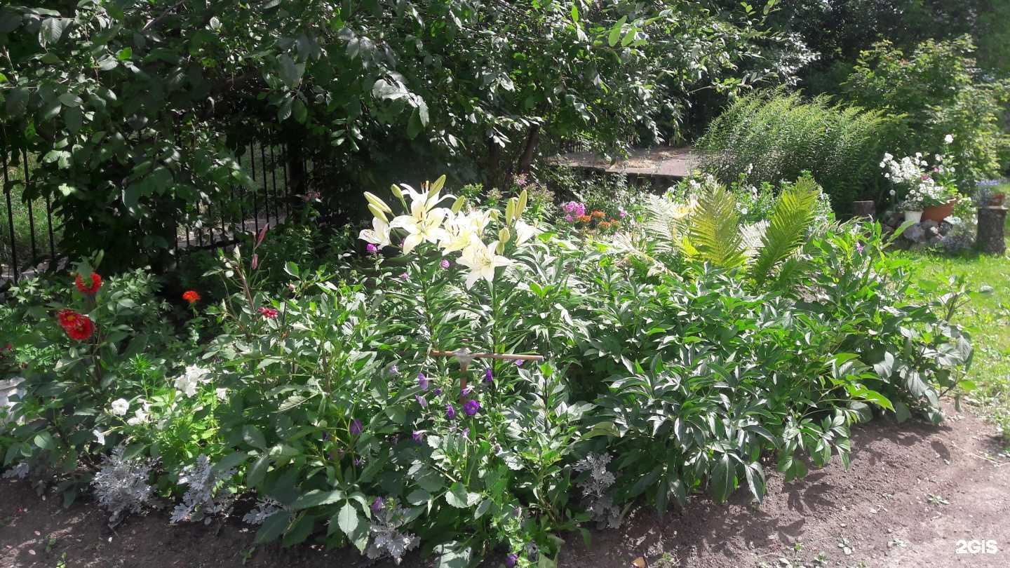 Отзывы на компанию Детская музыкальная школа №2 в Нижнем Тагиле c фото