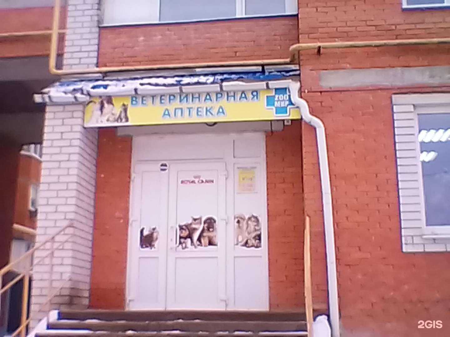 Отзывы на компанию Зоомир в г. Йошкар-Ола c фото