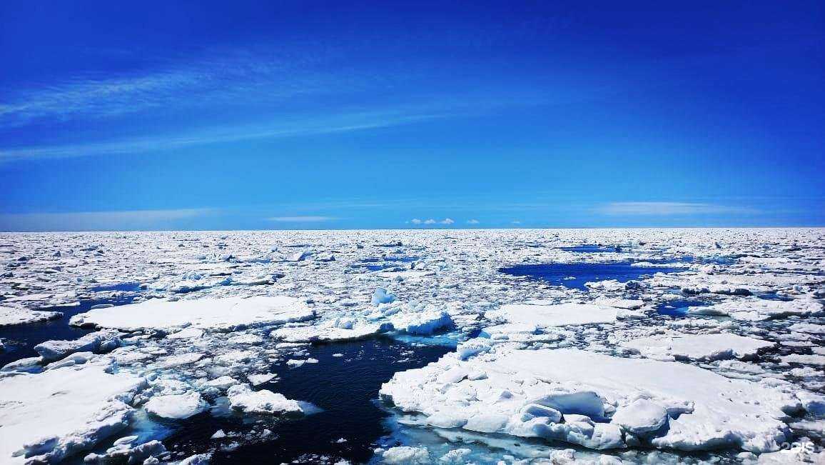 Отзывы на компанию Нужные люди в Комсомольске-на-Амуре c фото