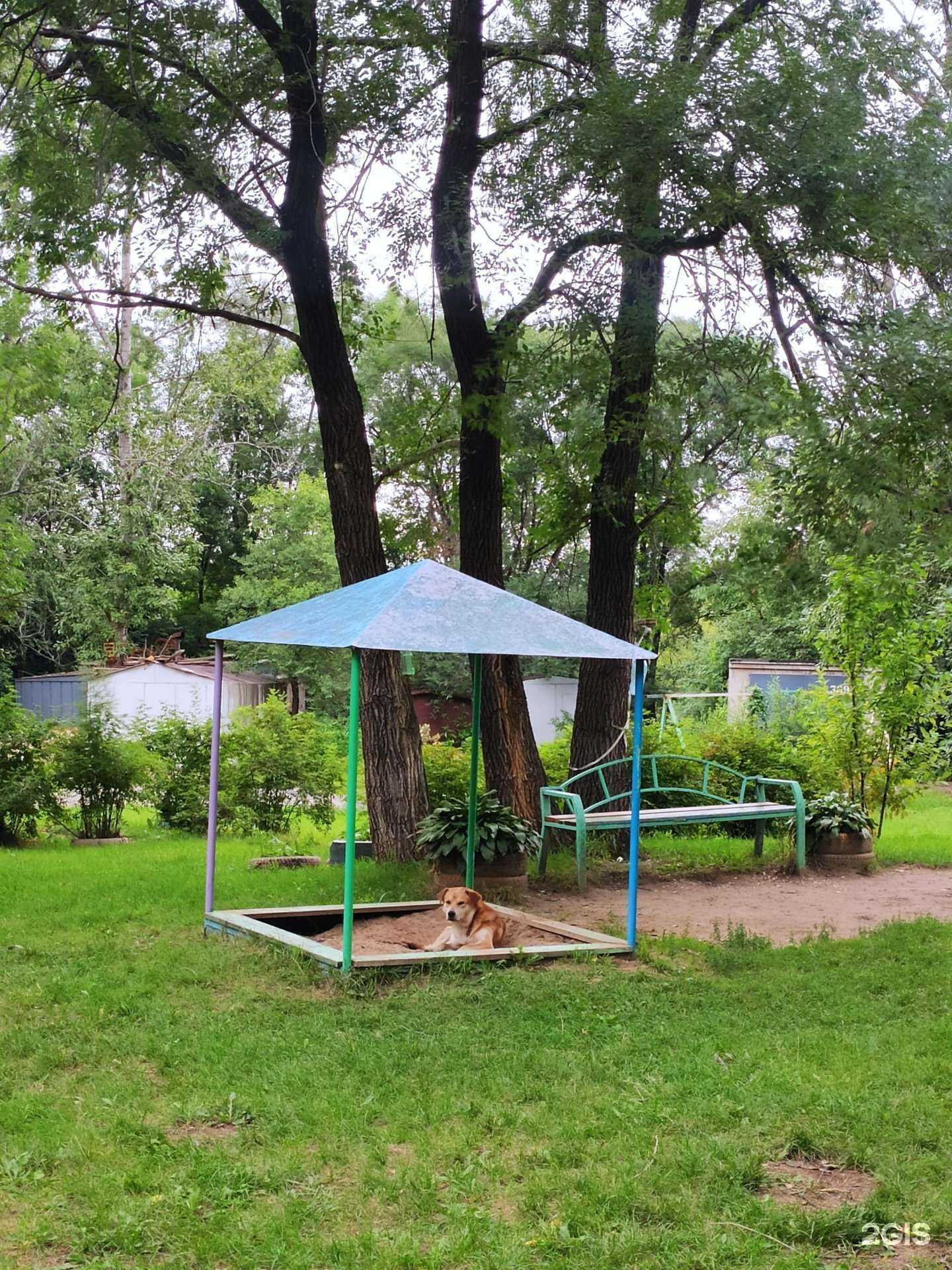 Отзывы на компанию Пикси в Хабаровске c фото - фотография 2 из 2