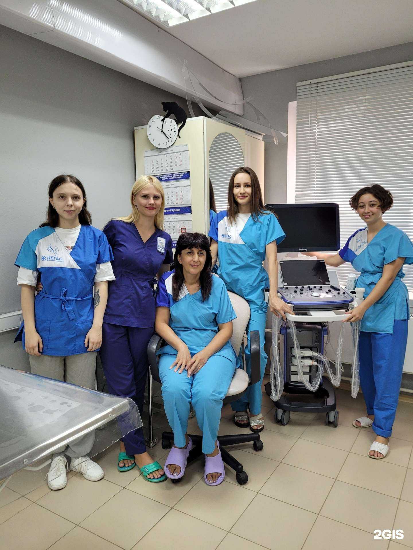 Отзывы на компанию Пегас в г. Краснодар c фото