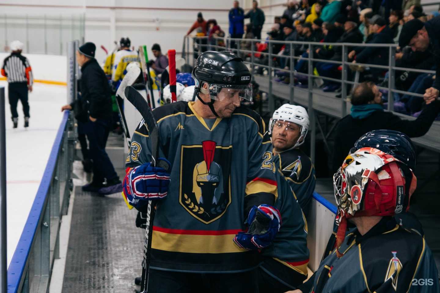 Отзывы на компанию Территория льда в Амурске c фото