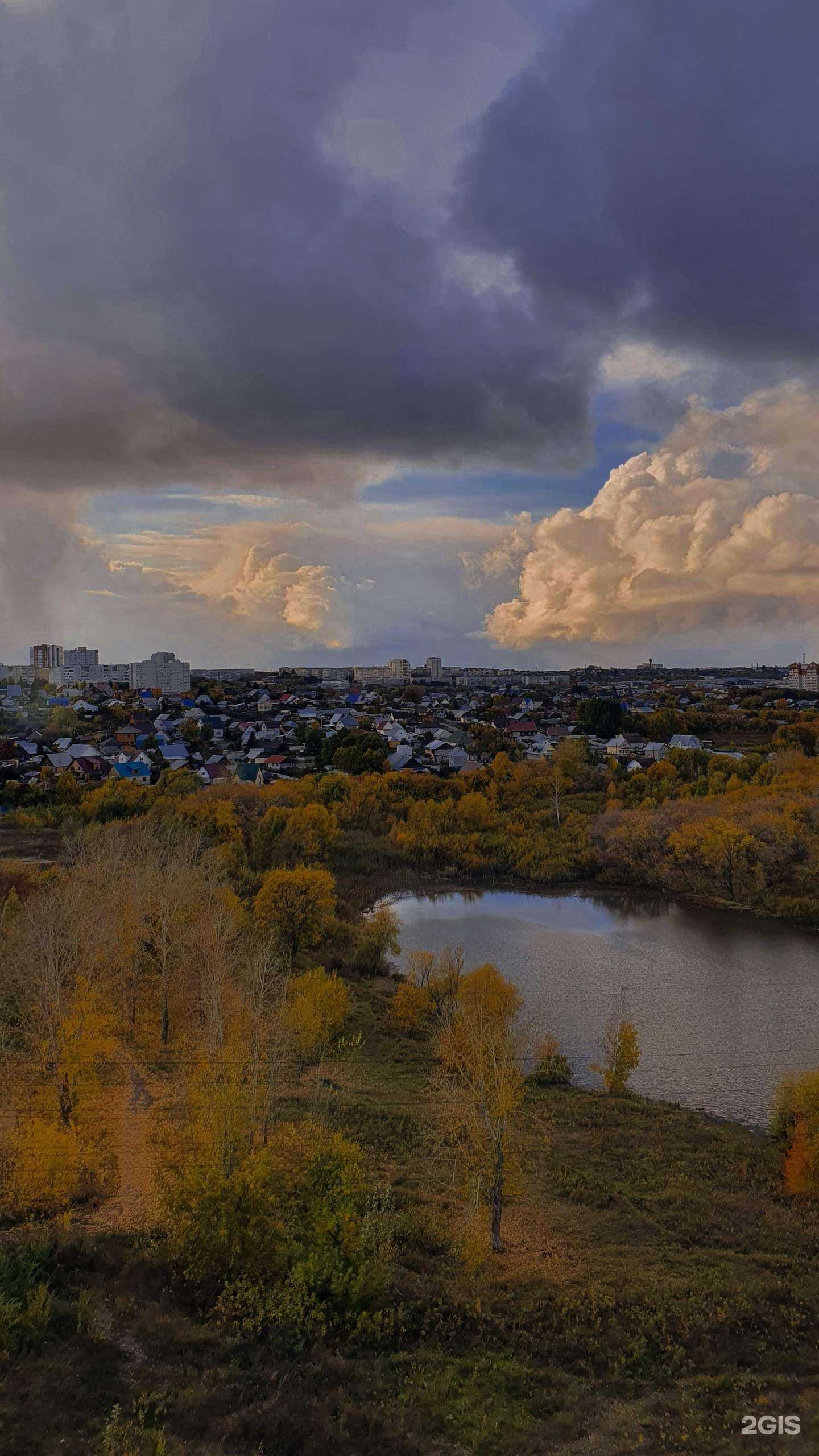 Отзывы на компанию Чудо Чадо в Барнауле c фото - фотография 2 из 2