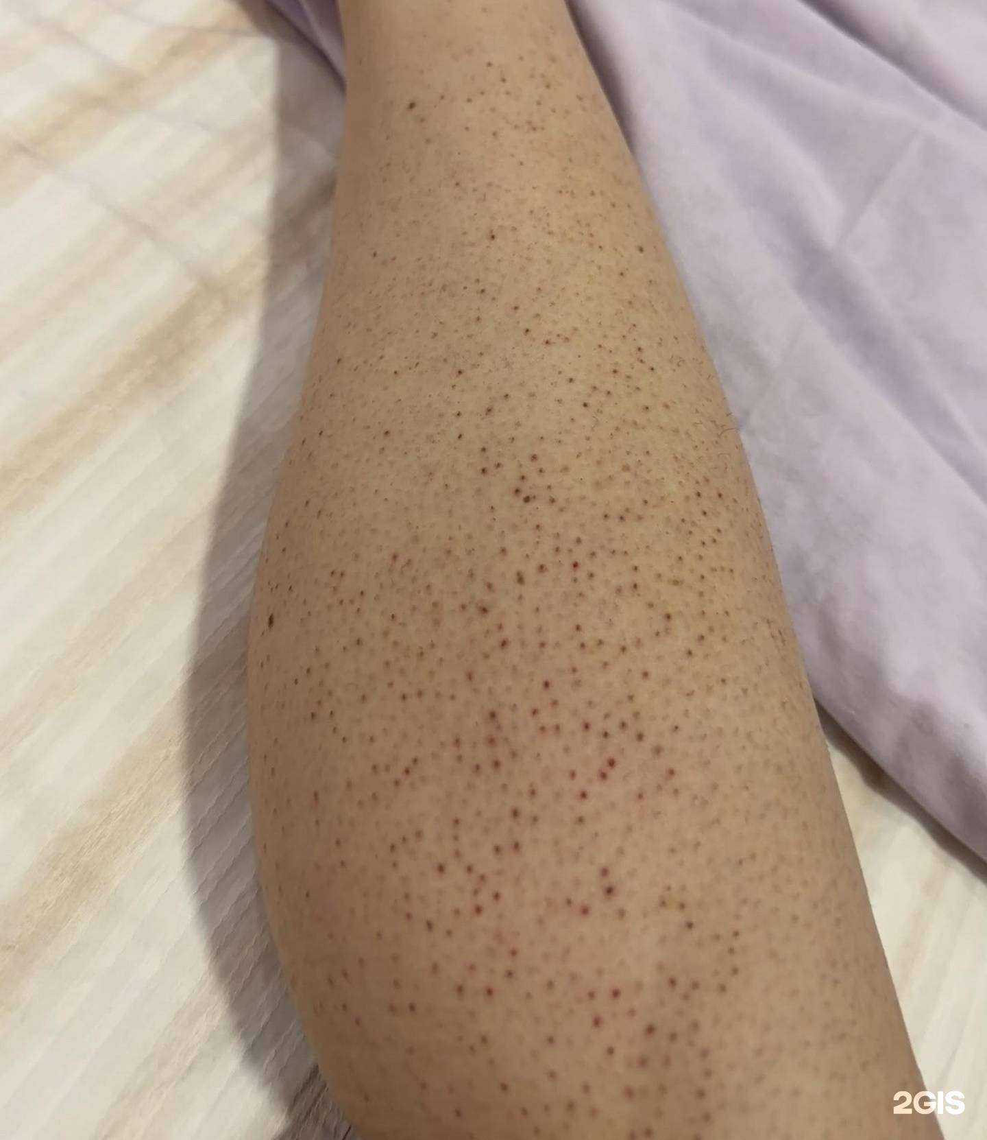 Отзывы на компанию Pytoshnaya Pikpik в Кемерове c фото