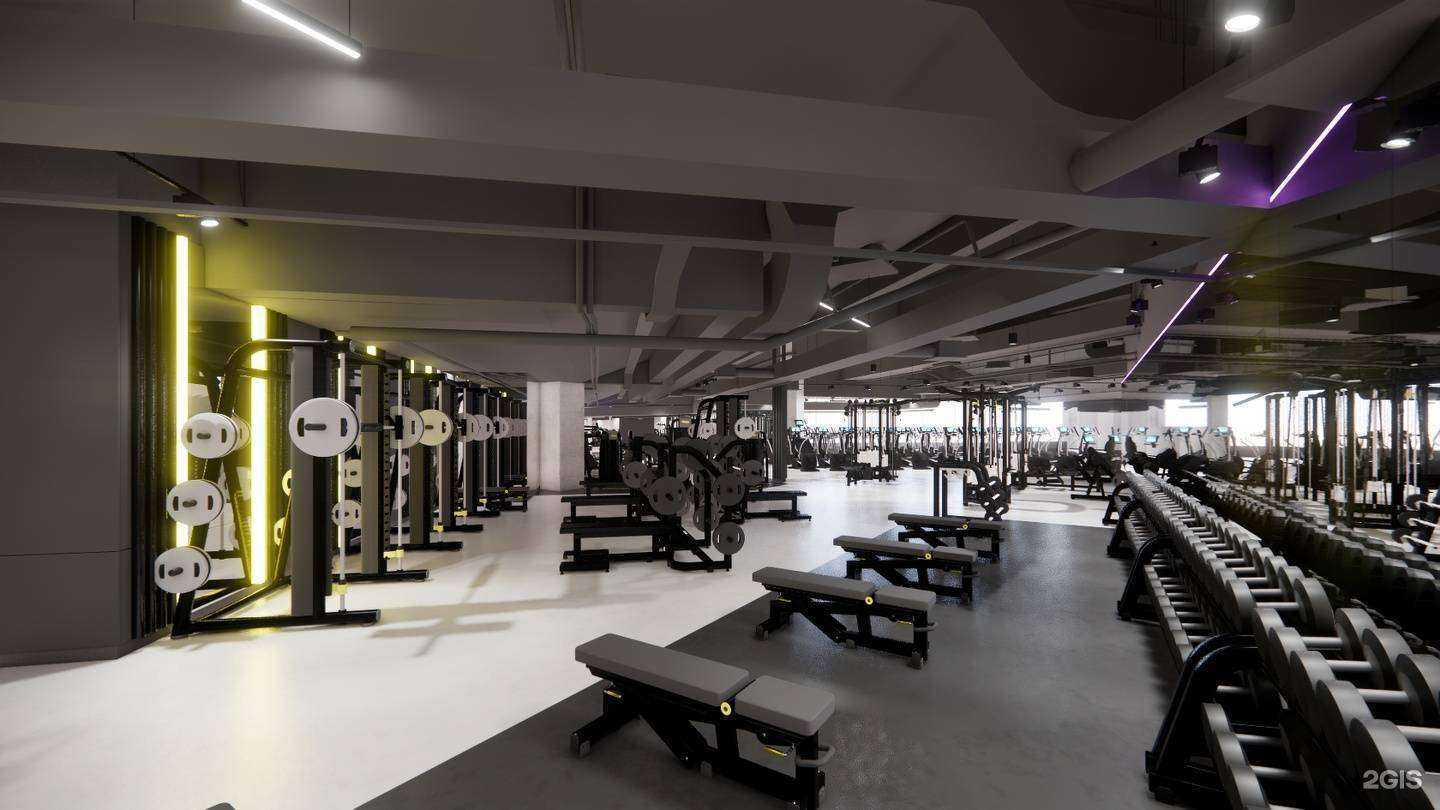 Отзывы на компанию DDX Fitness в Волгограде c фото