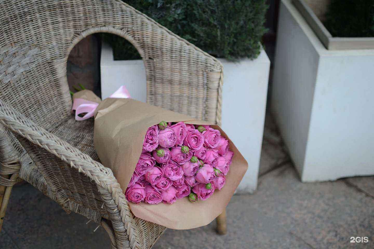 Отзывы на компанию Орхидея в Великом Новгороде c фото