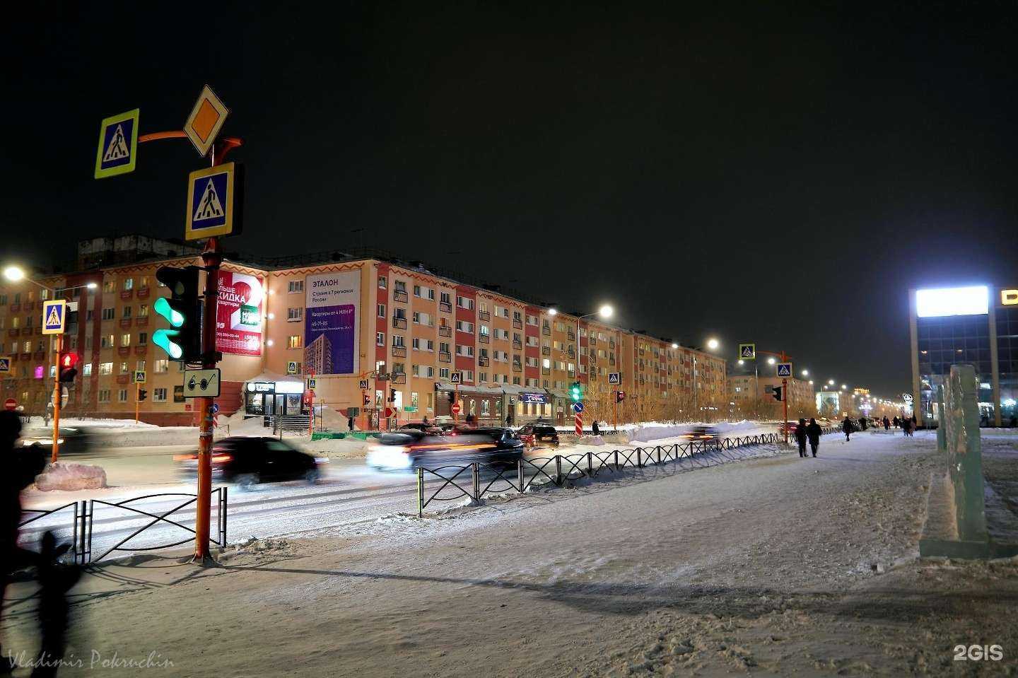 Отзывы на компанию Северные лапки в Норильске c фото - фотография 2 из 2