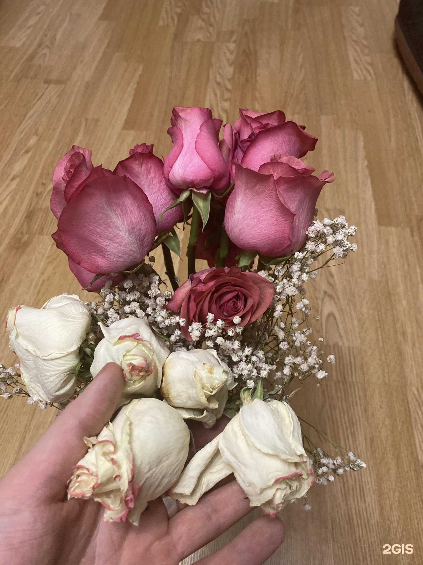 Отзывы на компанию Babaev flowers в Екатеринбурге c фото