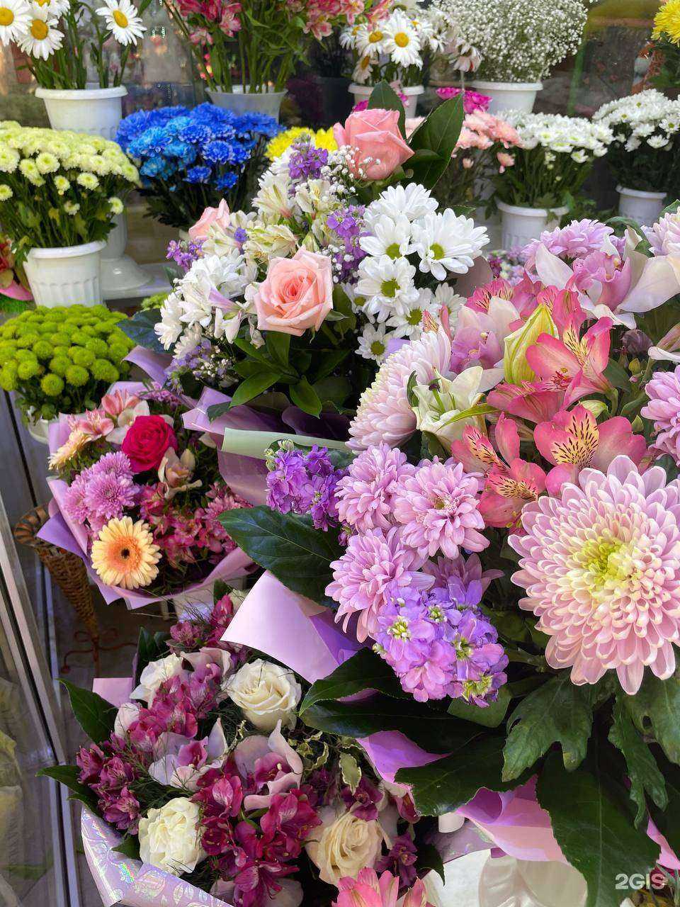 Отзывы на компанию Жасмина в г. Томск c фото