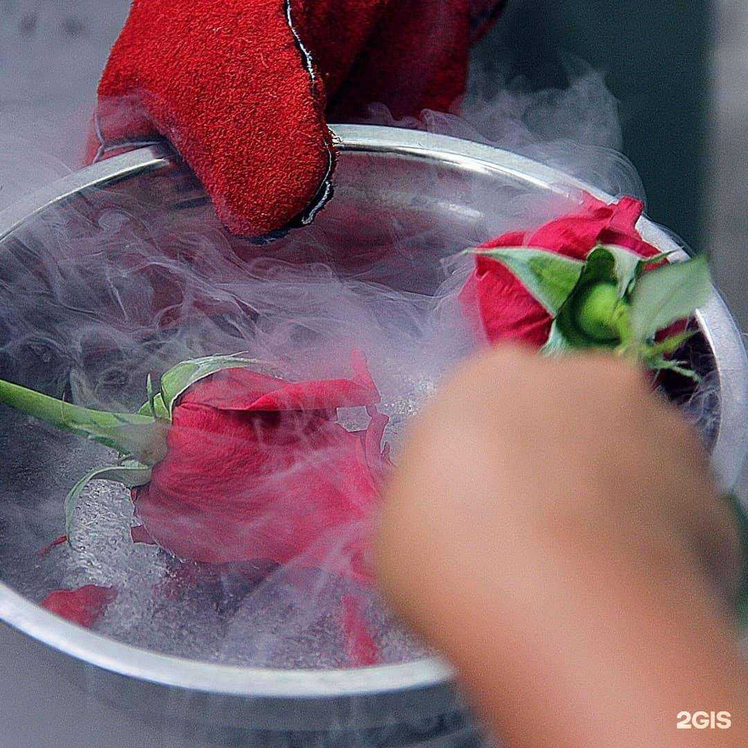 Отзывы на компанию ЦентрПромГаз в Нижнем Новгороде c фото