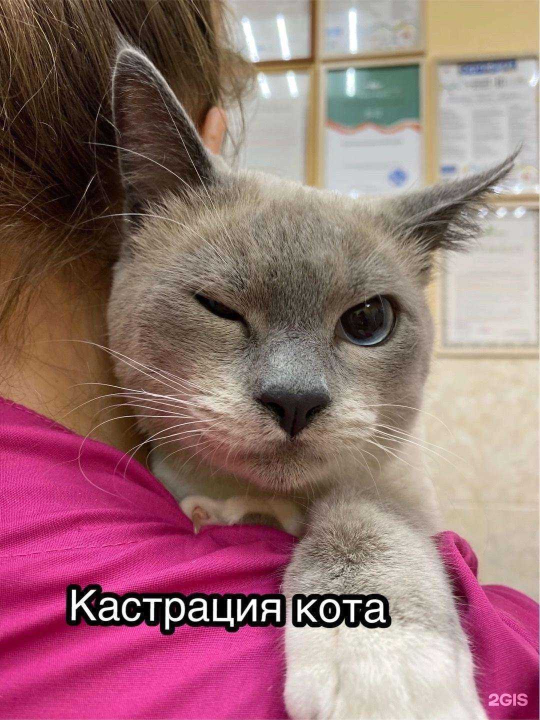 Отзывы на компанию Такса в Липецке c фото