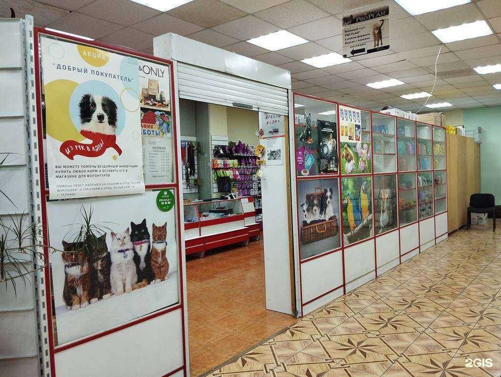 Отзывы на компанию Магазин зоотоваров в Норильске c фото