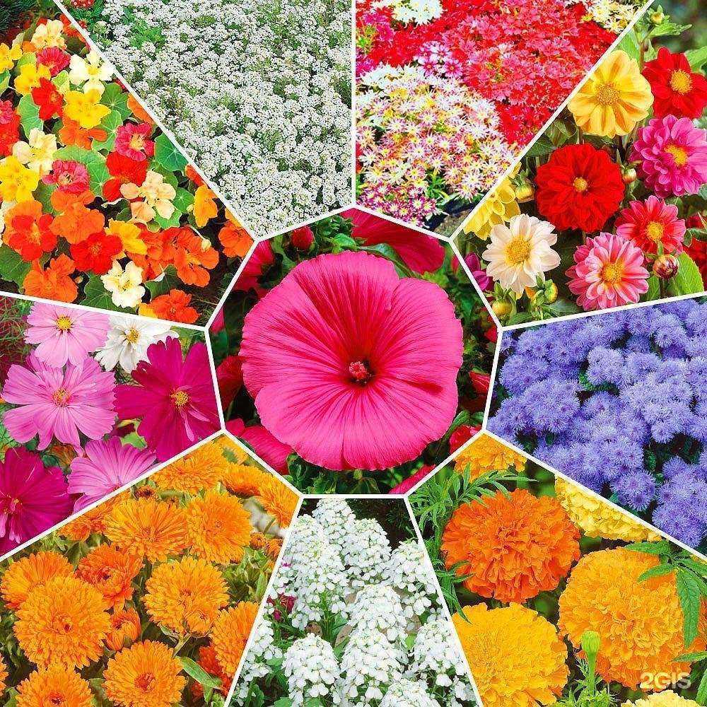 Отзывы на компанию ОптТорг в г. Вологда c фото