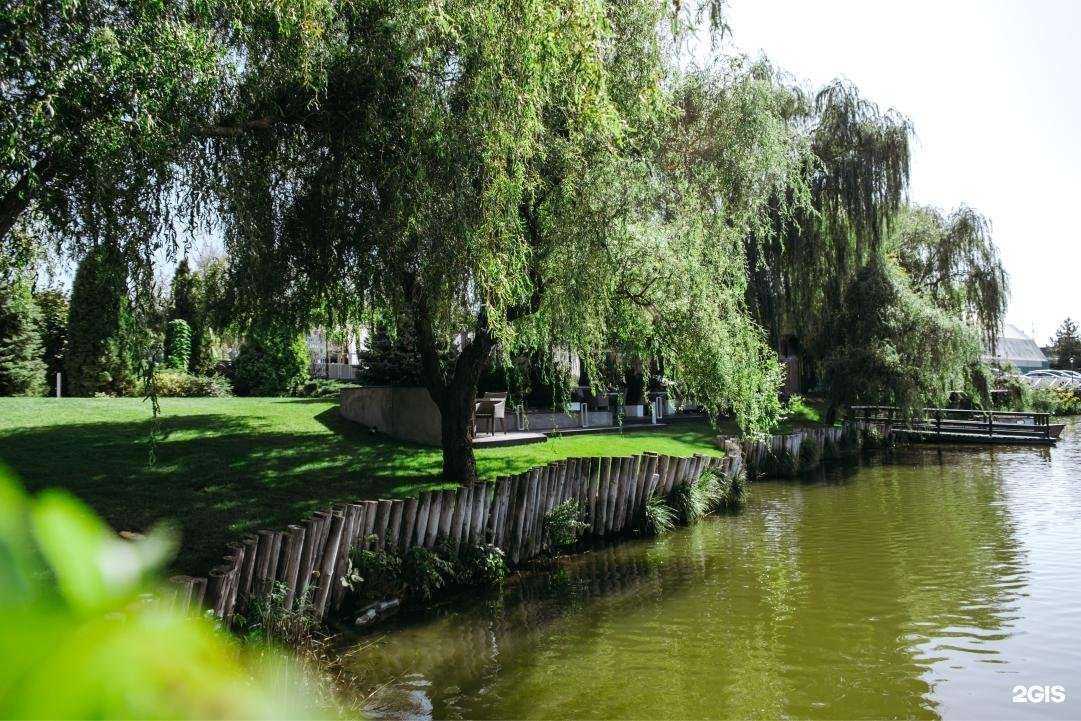 Отзывы на компанию Красная обезьяна в Ростове-на-Дону c фото