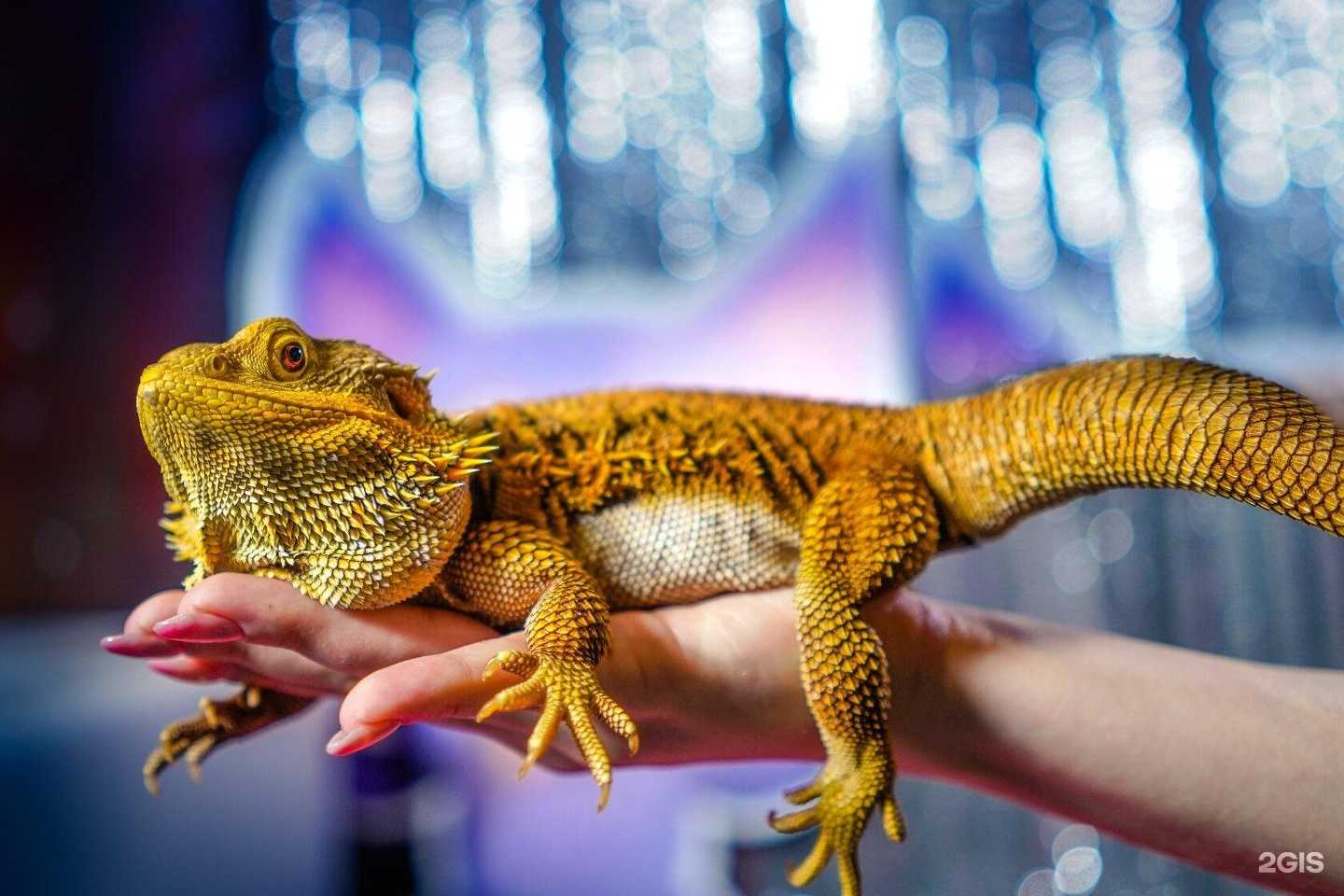 Отзывы на компанию Футурамия в Саратове c фото