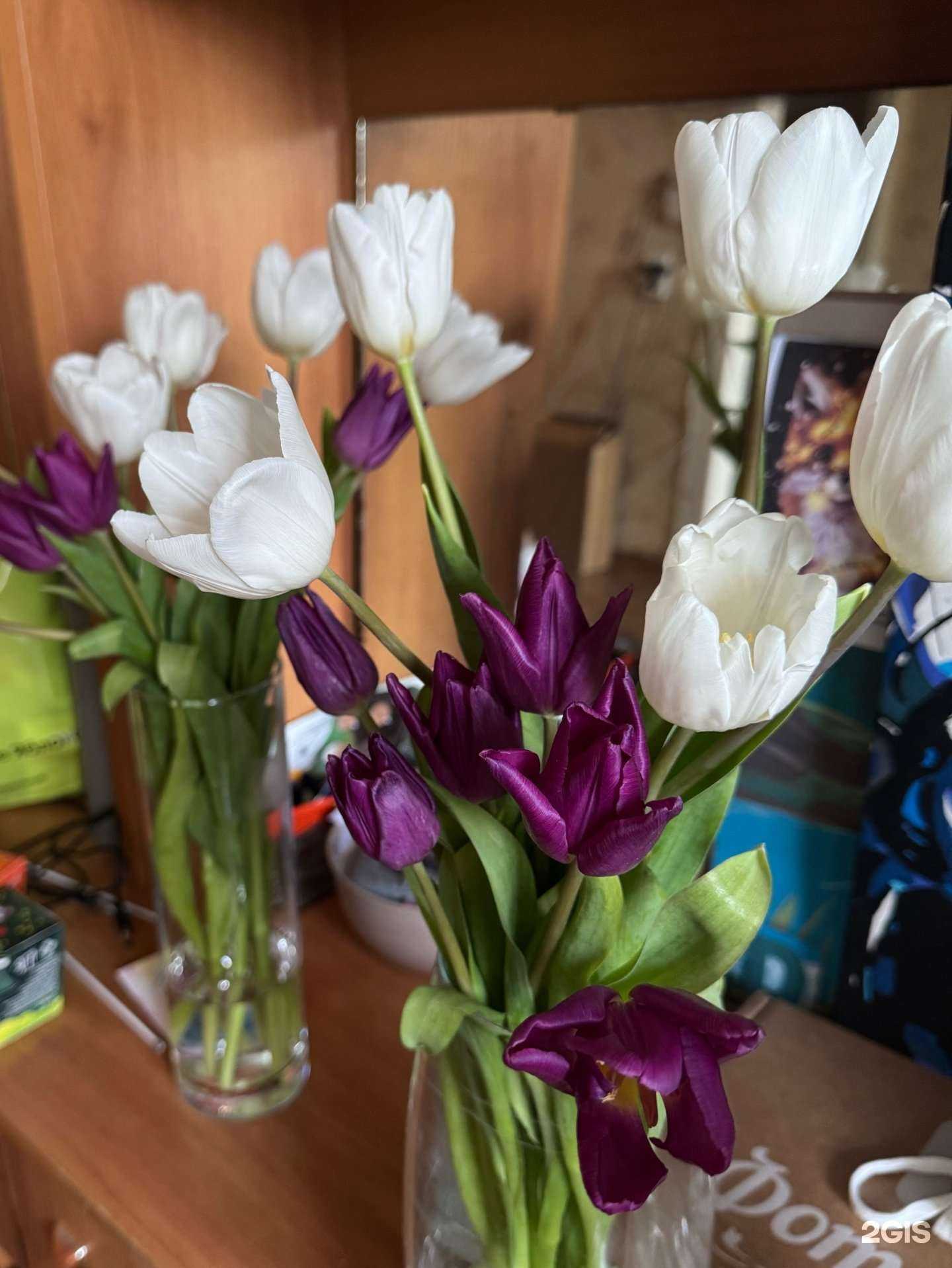 Отзывы на компанию Bella Fiori в Новосибирске c фото