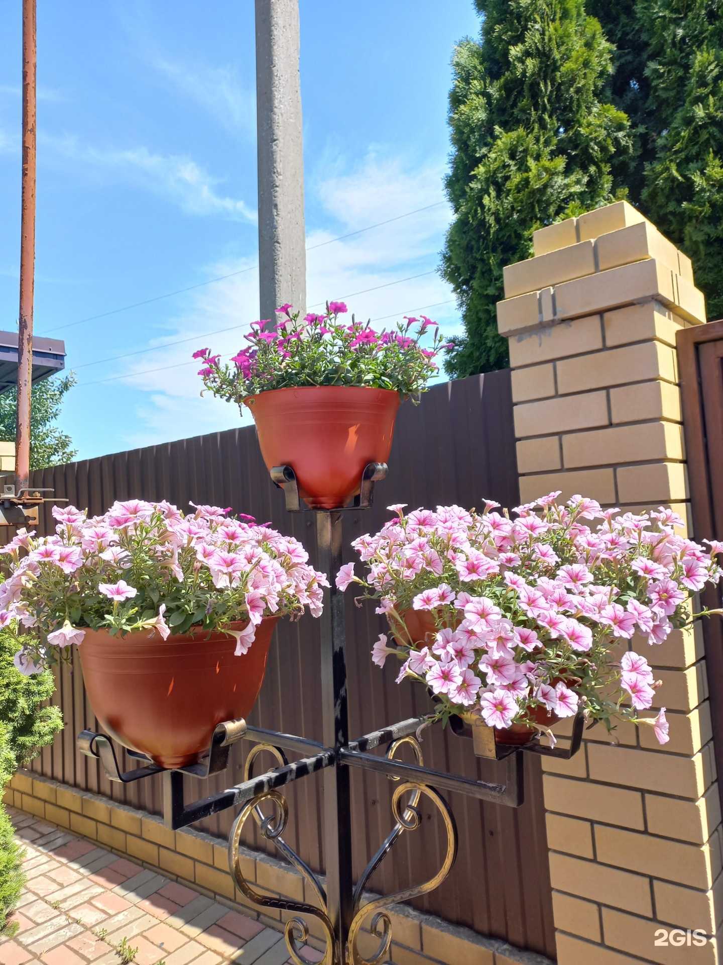 Отзывы на компанию Relax24 в г. Волгоград c фото