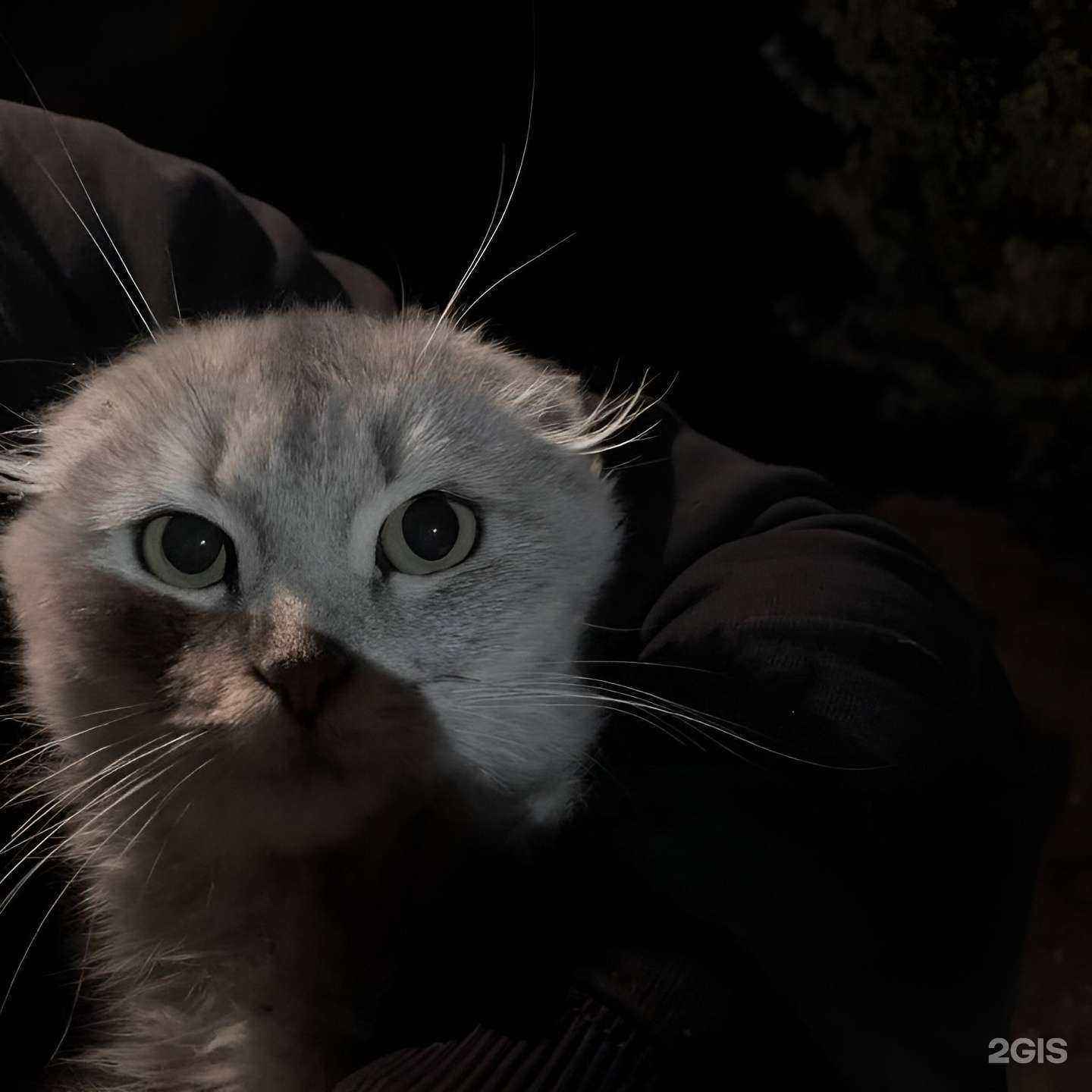 Отзывы на компанию Botva_buket в Ханты-Мансийске c фото