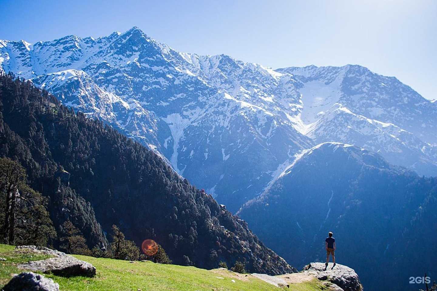 Отзывы на компанию Oum.ru в г. Волгоград c фото