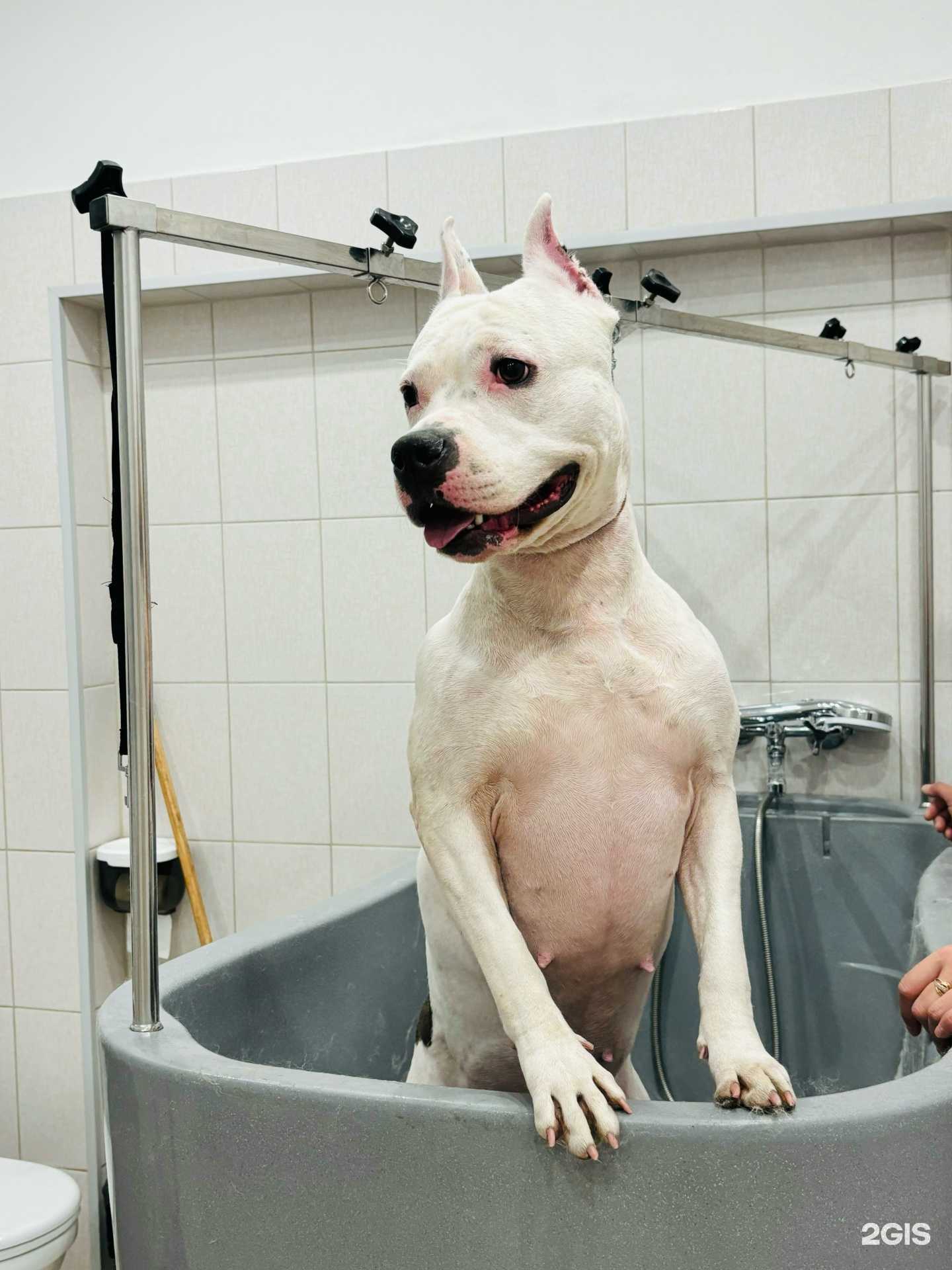 Отзывы на компанию Самисусами в г. Комсомольск-на-Амуре c фото