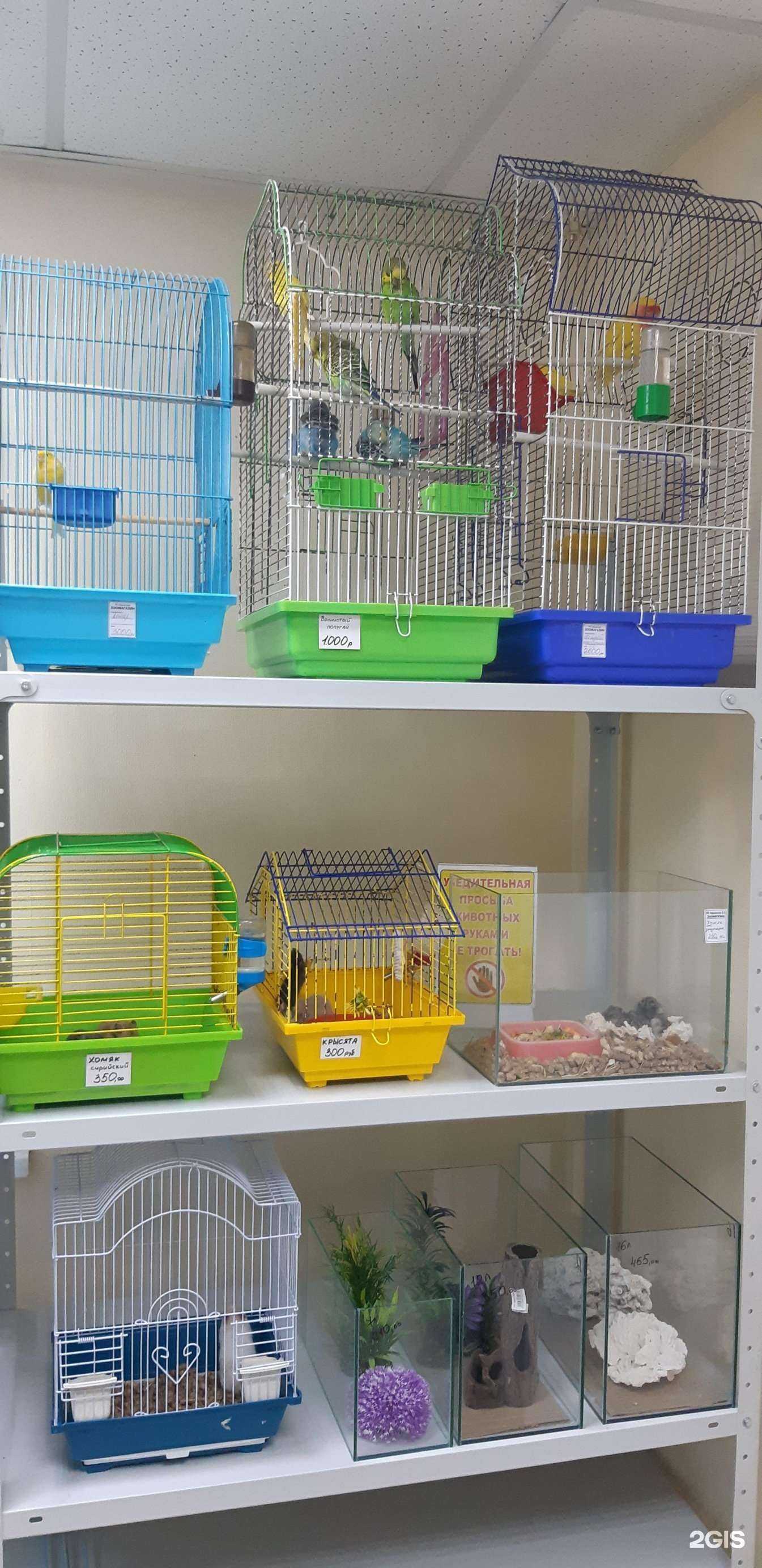 Отзывы на компанию Зоомагазин в г. Новосибирск c фото