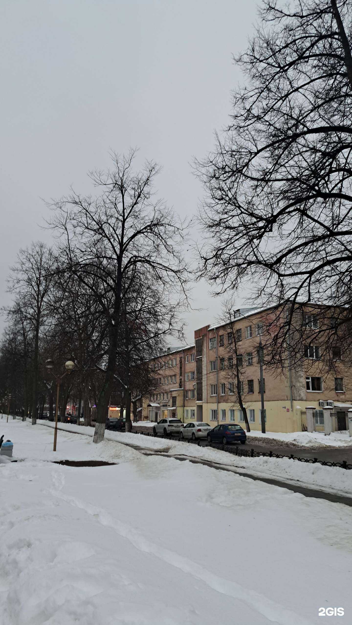 Отзывы на компанию Loymina в Ярославле c фото - фотография 2 из 2