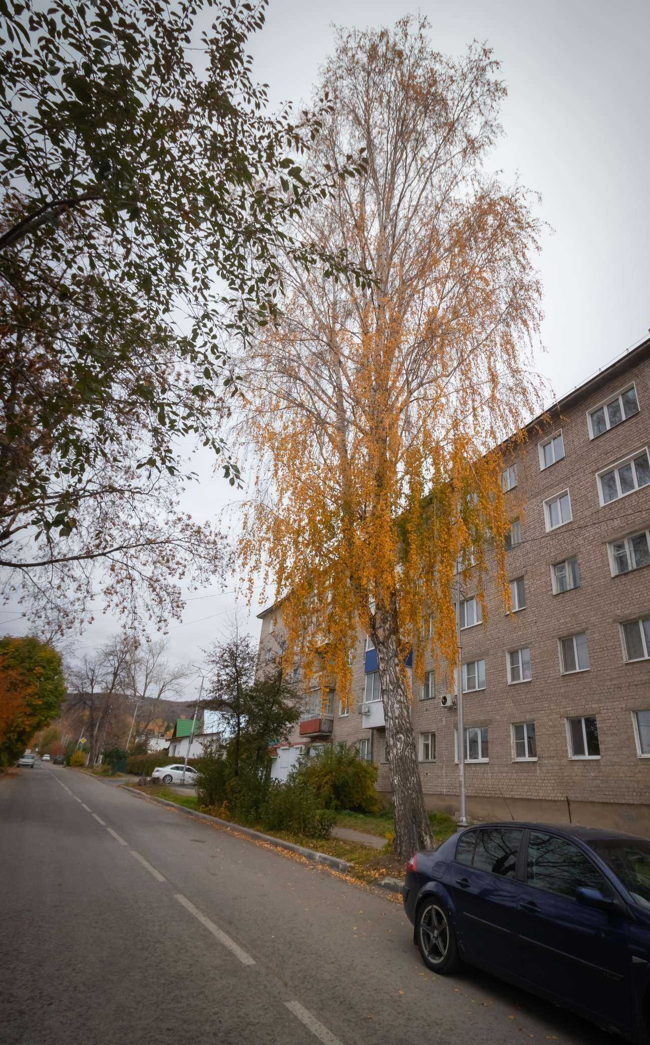 Отзывы на компанию Аванс в Жигулевске c фото - фотография 2 из 2