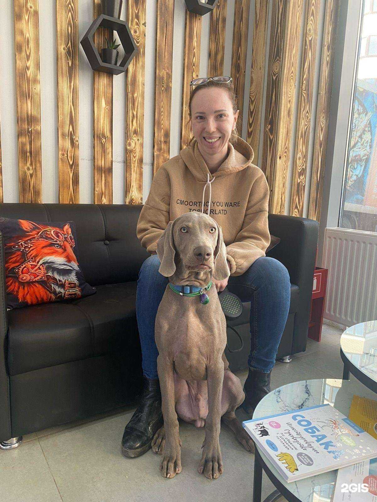 Отзывы на компанию Империал  в Краснодаре c фото