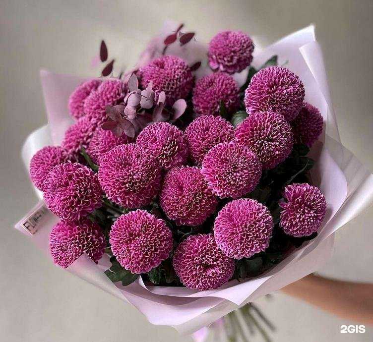 Отзывы на компанию Rosa-vetrov в Новосибирске c фото