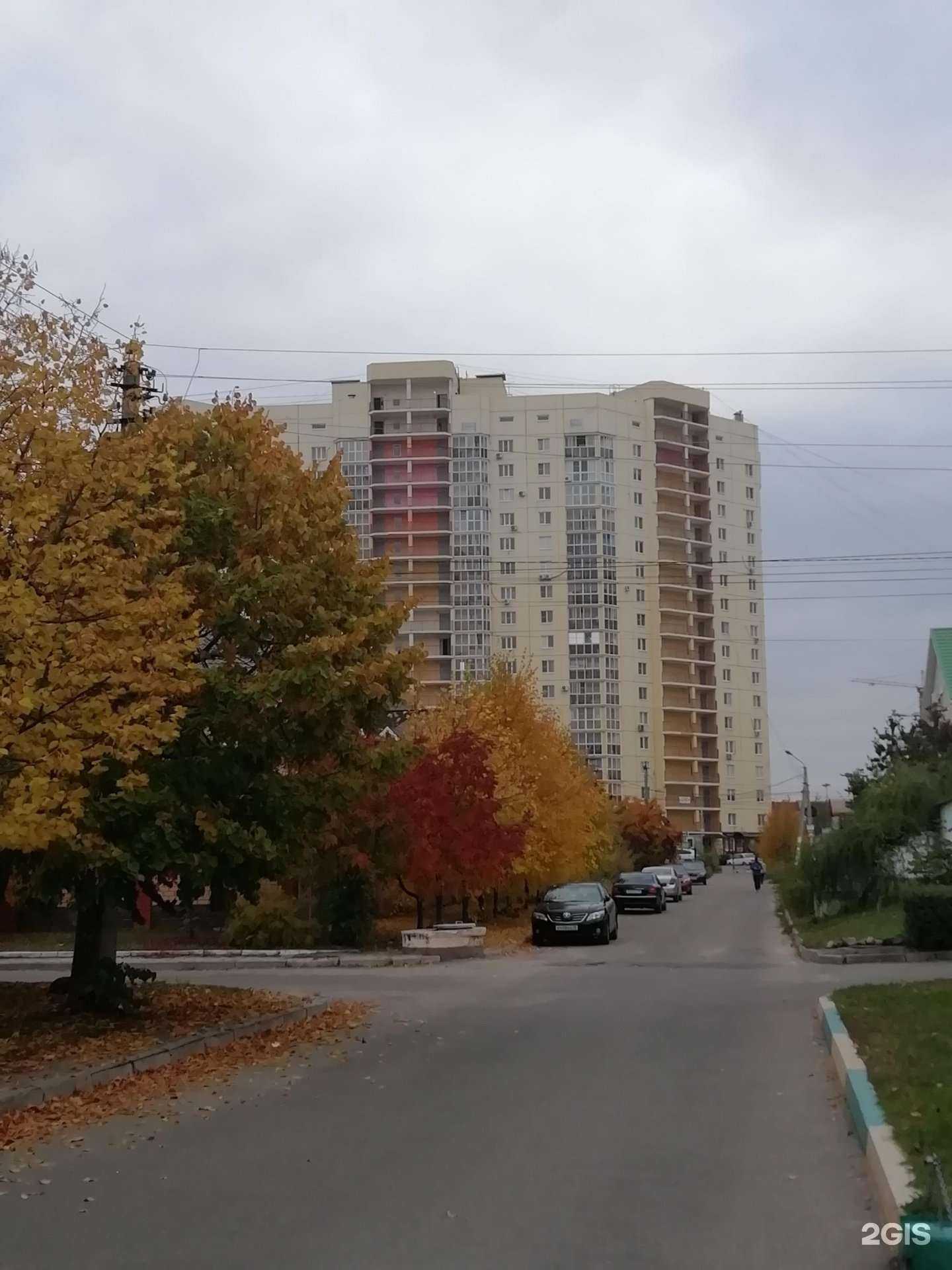 Отзывы на компанию Социальная Аптека в Воронеже c фото - фотография 2 из 2