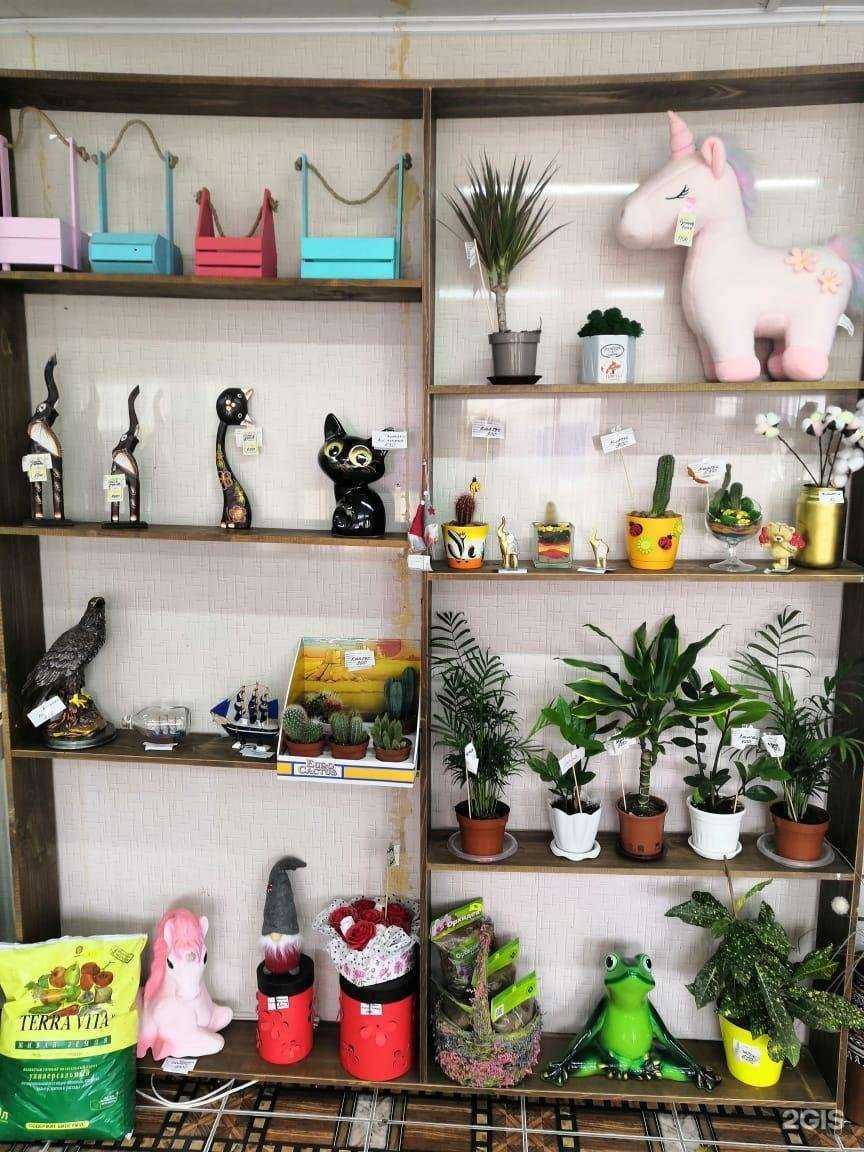 Отзывы на компанию Белкин сад в г. Астрахань c фото