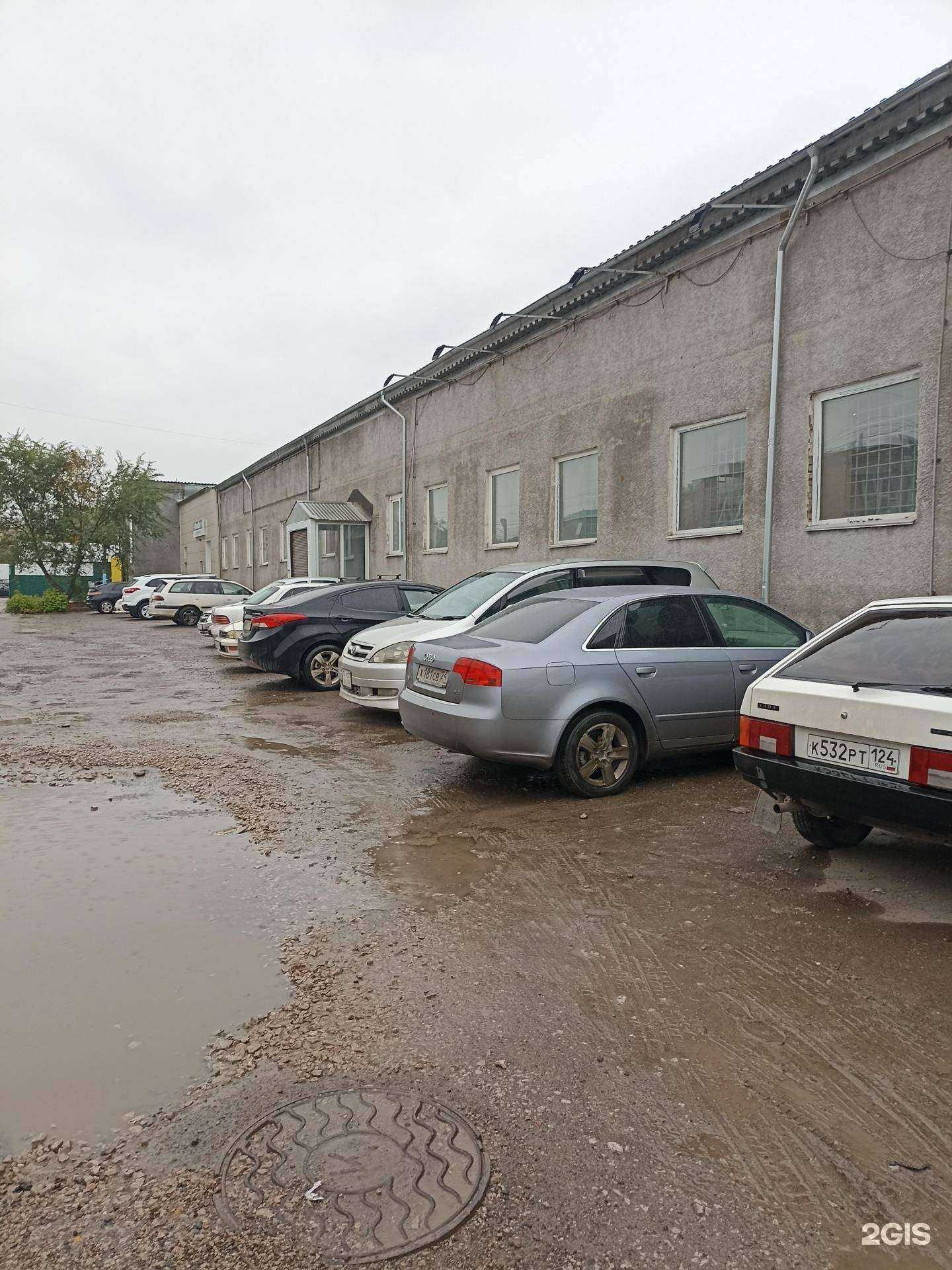 Отзывы на компанию НикаВет в Красноярске c фото - фотография 2 из 2