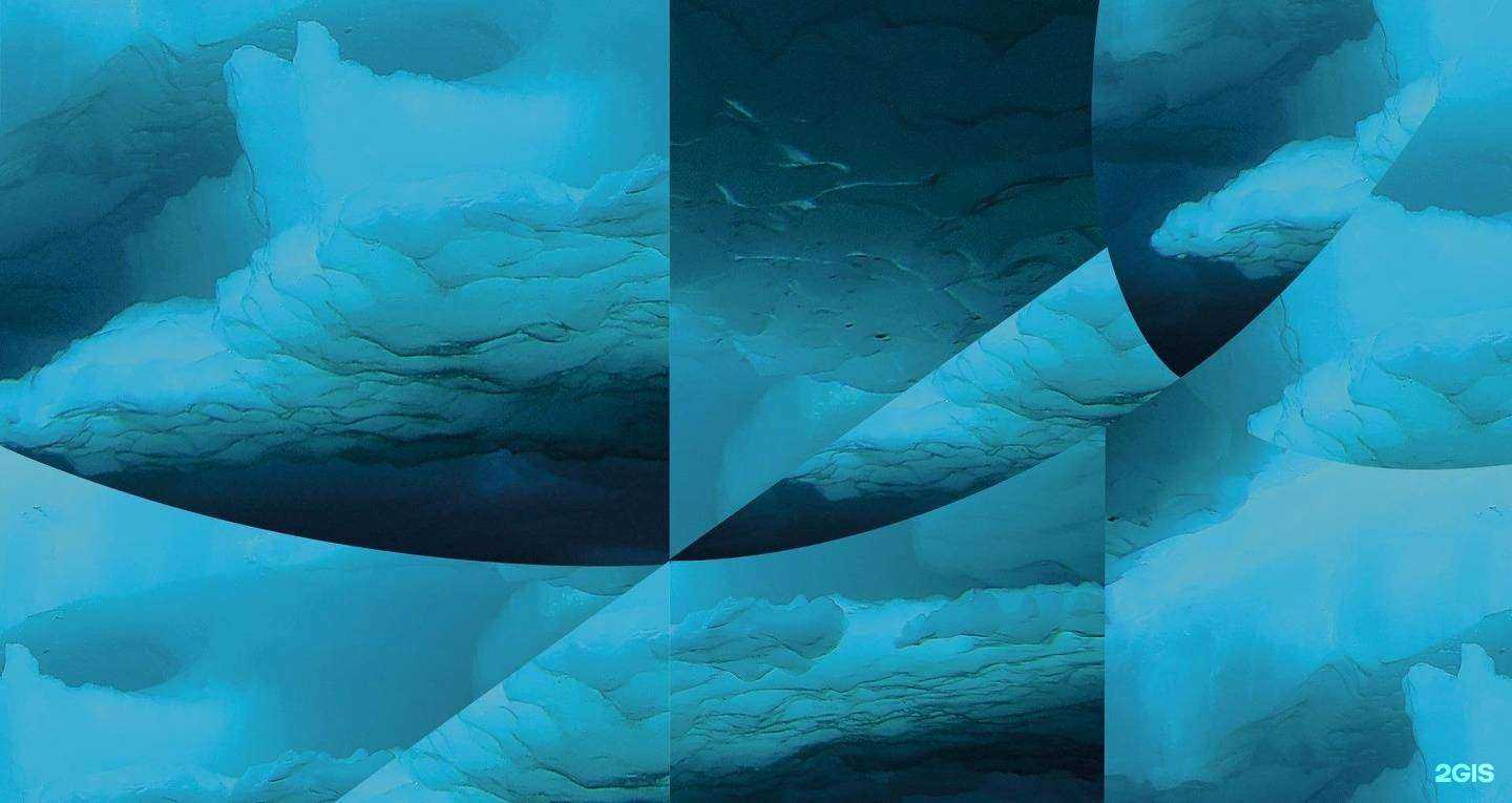 Отзывы на компанию Мурманский траловый флот в г. Мурманск c фото