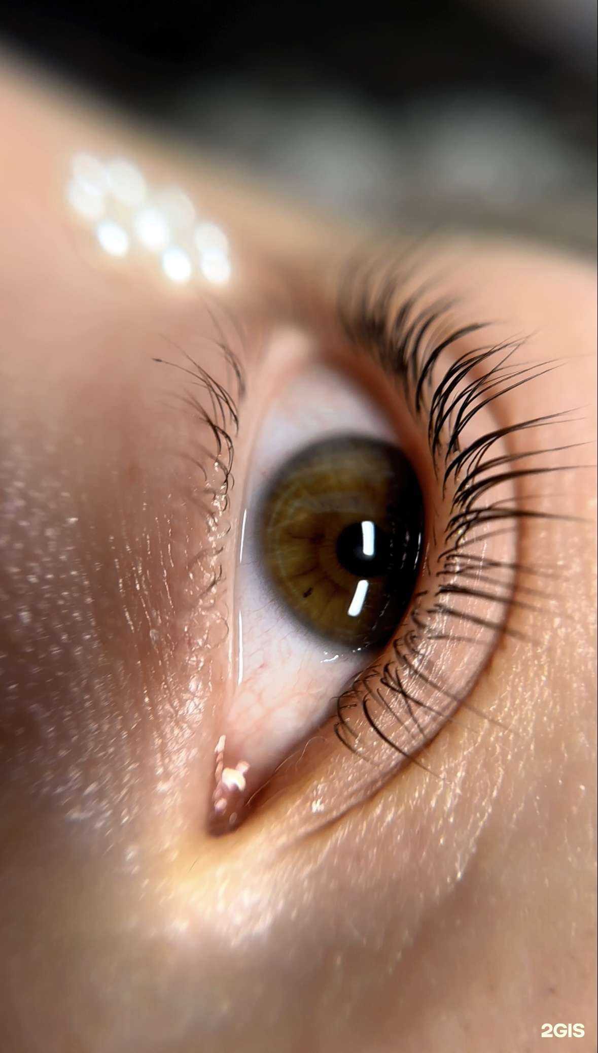 Отзывы на компанию Рай бровей и ресниц в Краснодаре c фото