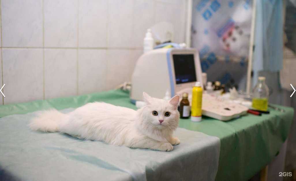 Отзывы на компанию ЛЕЛЬ в г. Нижний Новгород c фото