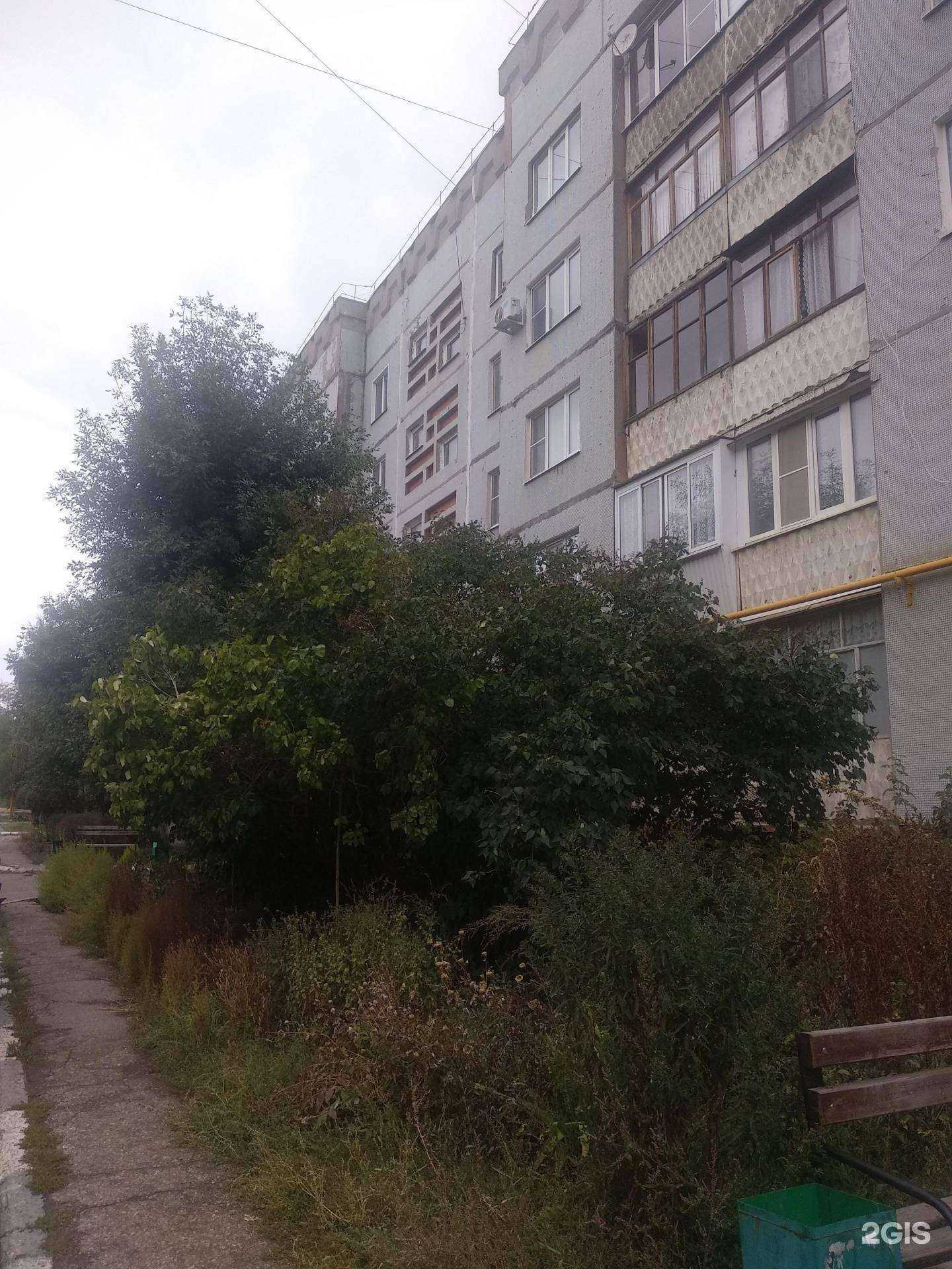 Отзывы на компанию Бизнес лайт в Новокуйбышевске c фото - фотография 2 из 2