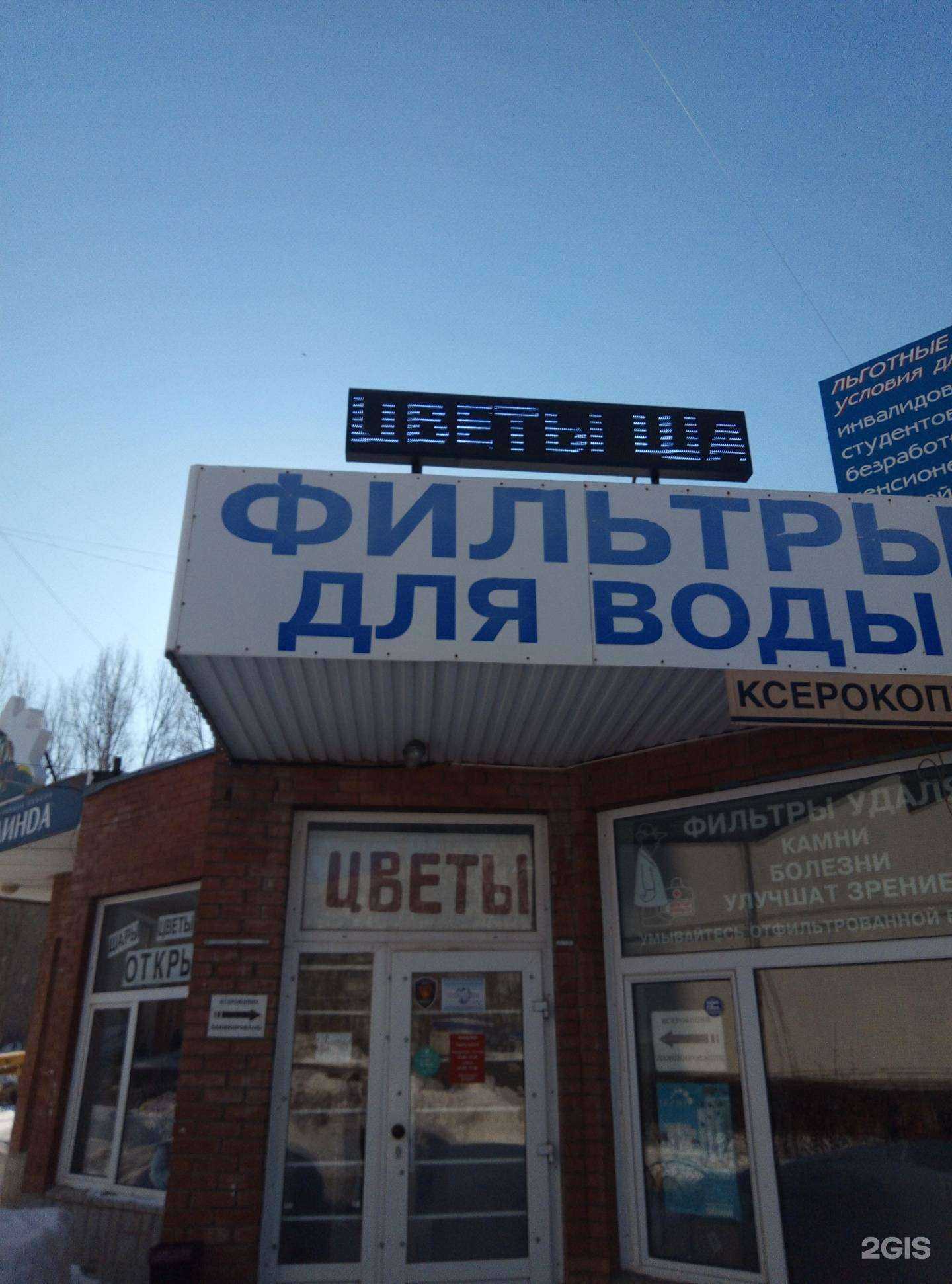 Отзывы на компанию Бифиdog в Тольятти c фото - фотография 2 из 2