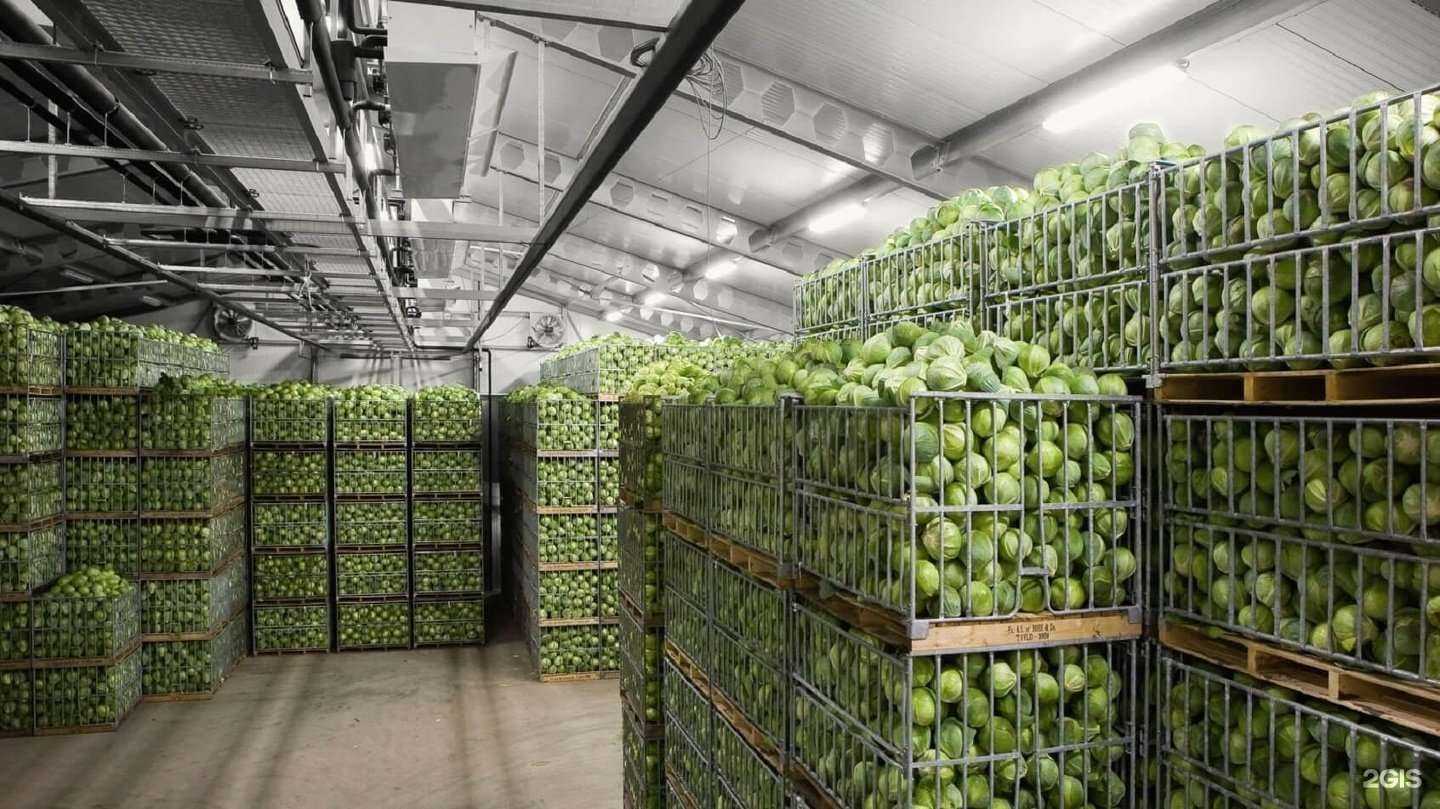 Отзывы на компанию Агрофрост-ТК в г. Ростов-на-Дону c фото