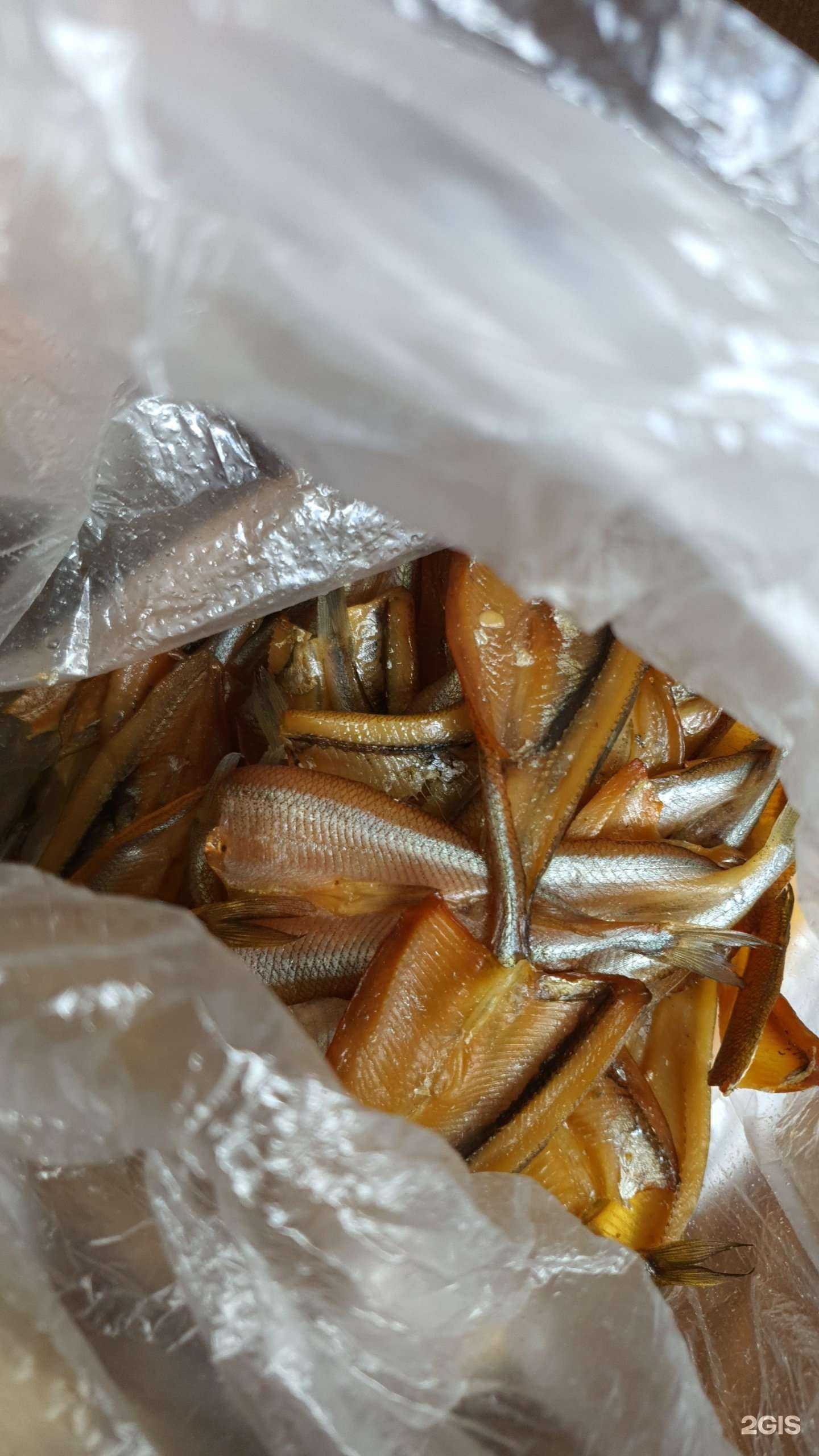 Отзывы на компанию Астронотус в Кемерове c фото