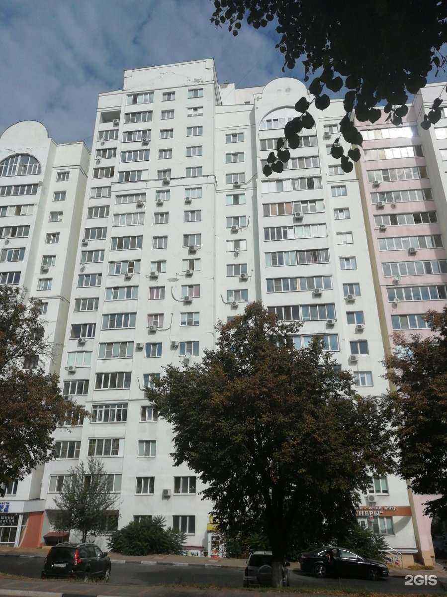 Отзывы на компанию Белые Китята в Белгороде c фото - фотография 2 из 2