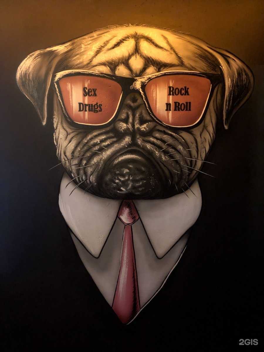 Отзывы на компанию Nirvana в Петропавловске-Камчатском c фото