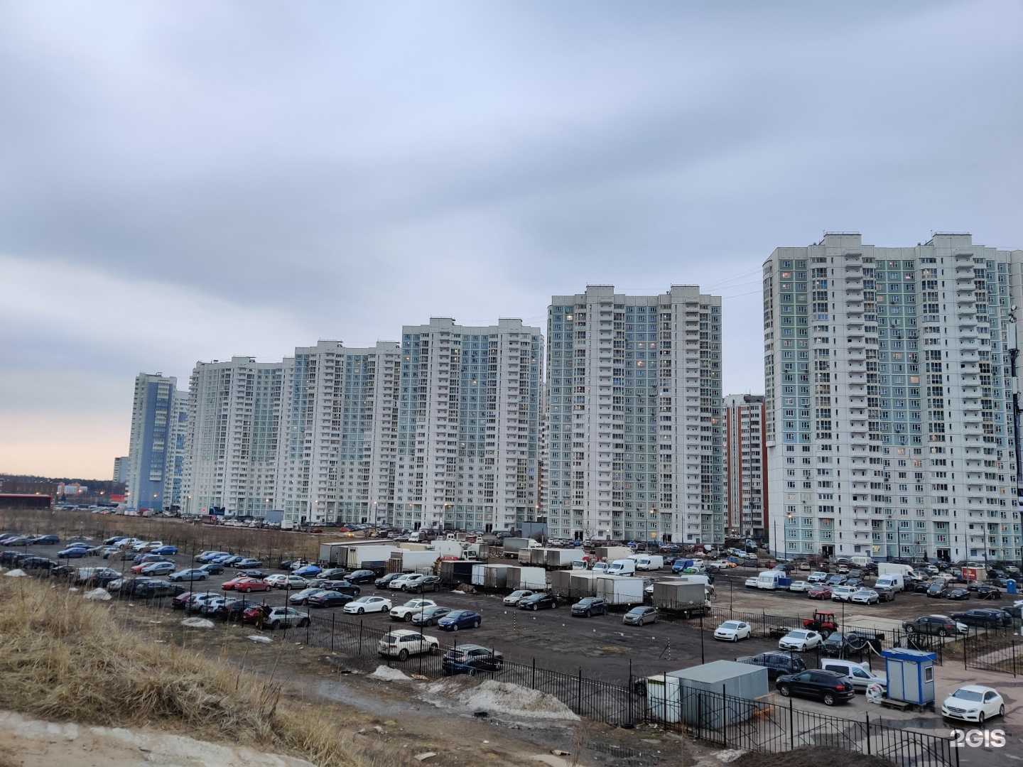 Отзывы на компанию Мохито в Люберцах c фото - фотография 2 из 2