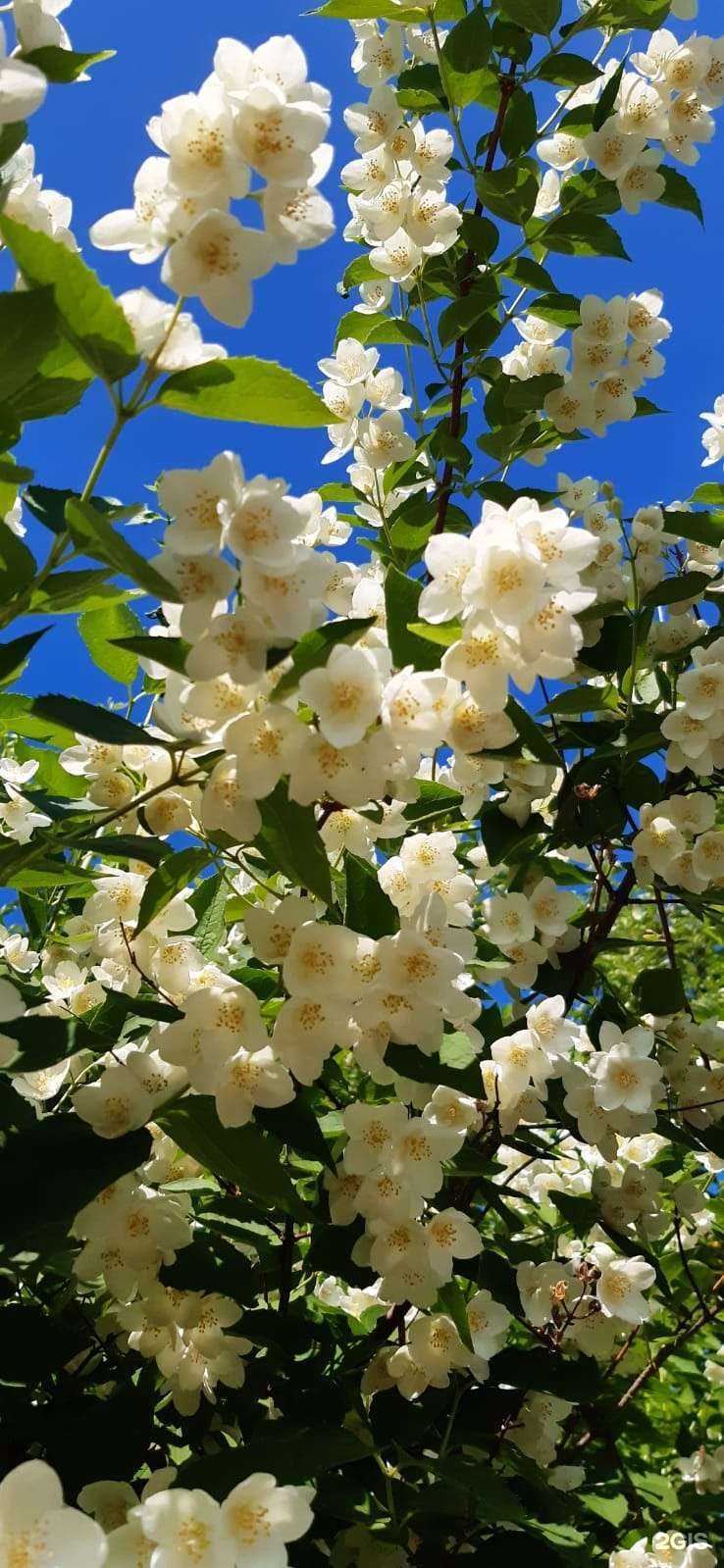 Отзывы на компанию Визиодент в Уфе c фото