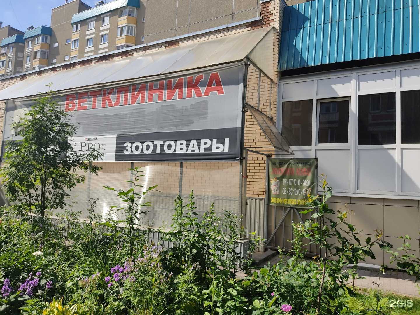 Отзывы на компанию Манэки Нэко в Сертолове c фото