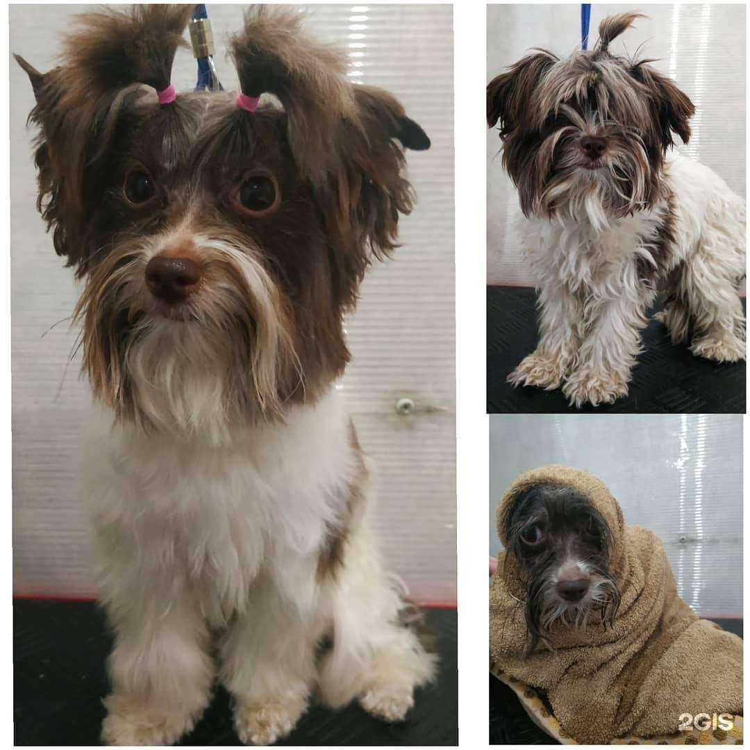 Отзывы на компанию Умка в г. Ижевск c фото