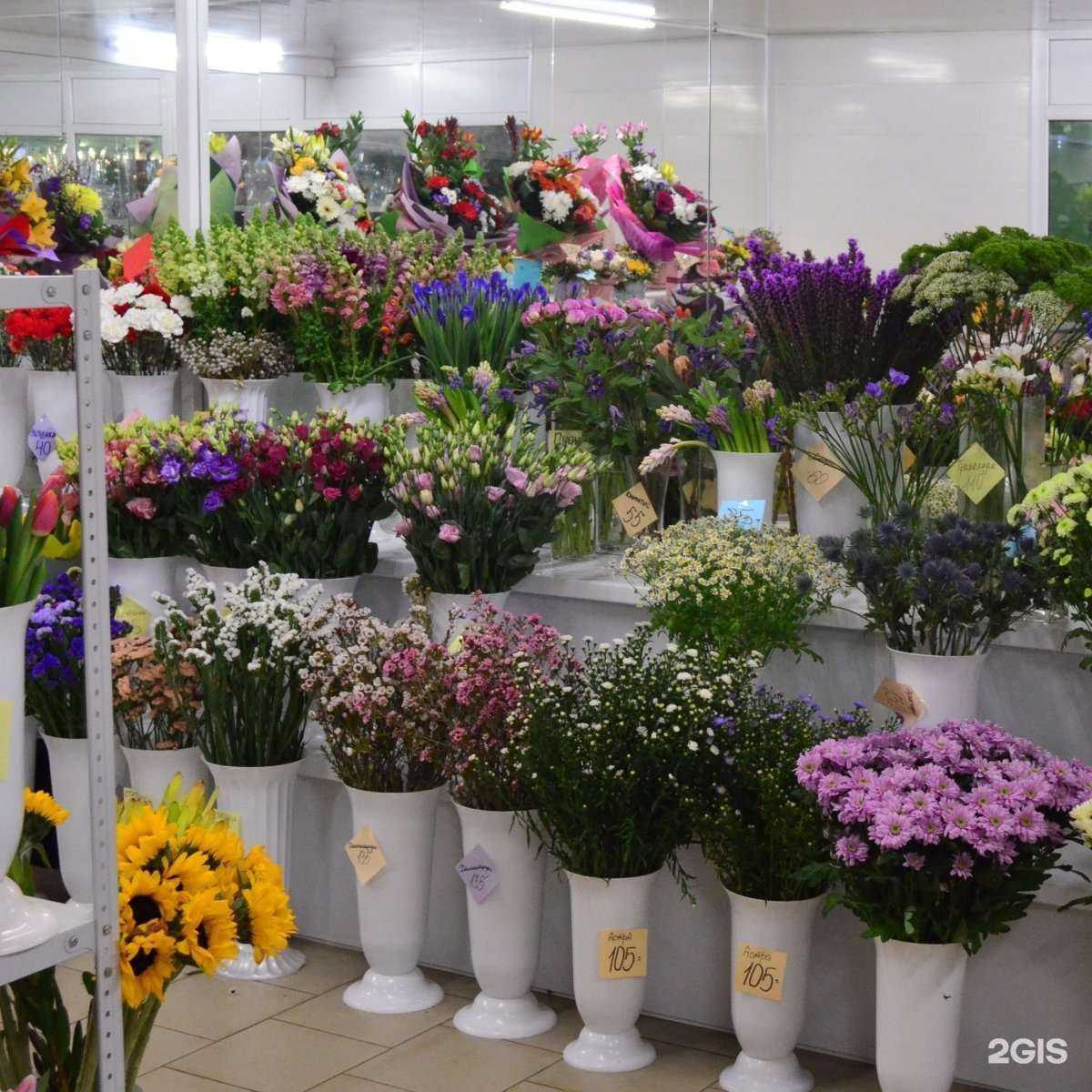 Отзывы на компанию Псковцвет в Пскове c фото