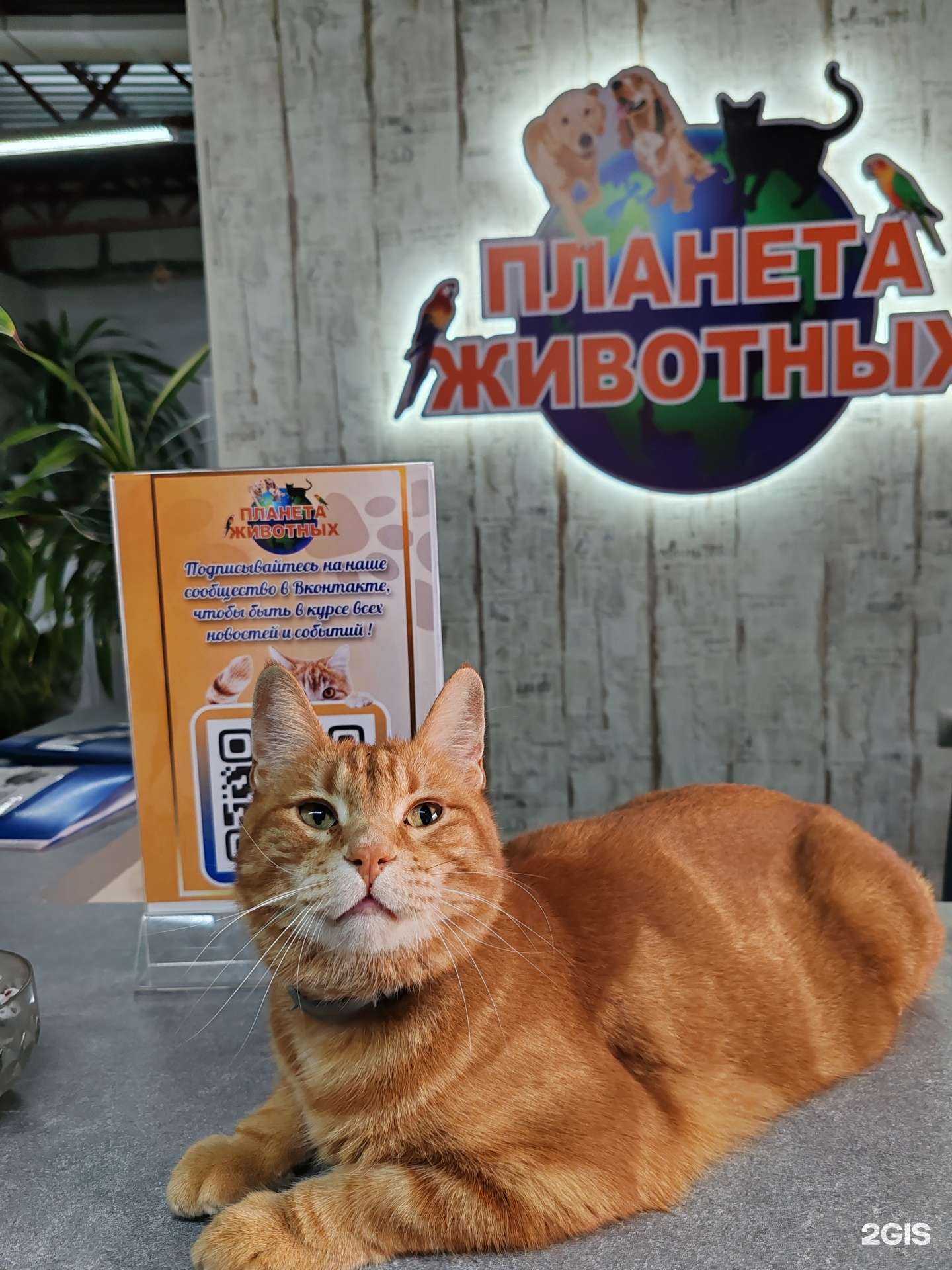 Отзывы на компанию Планета животных в Ульяновске c фото