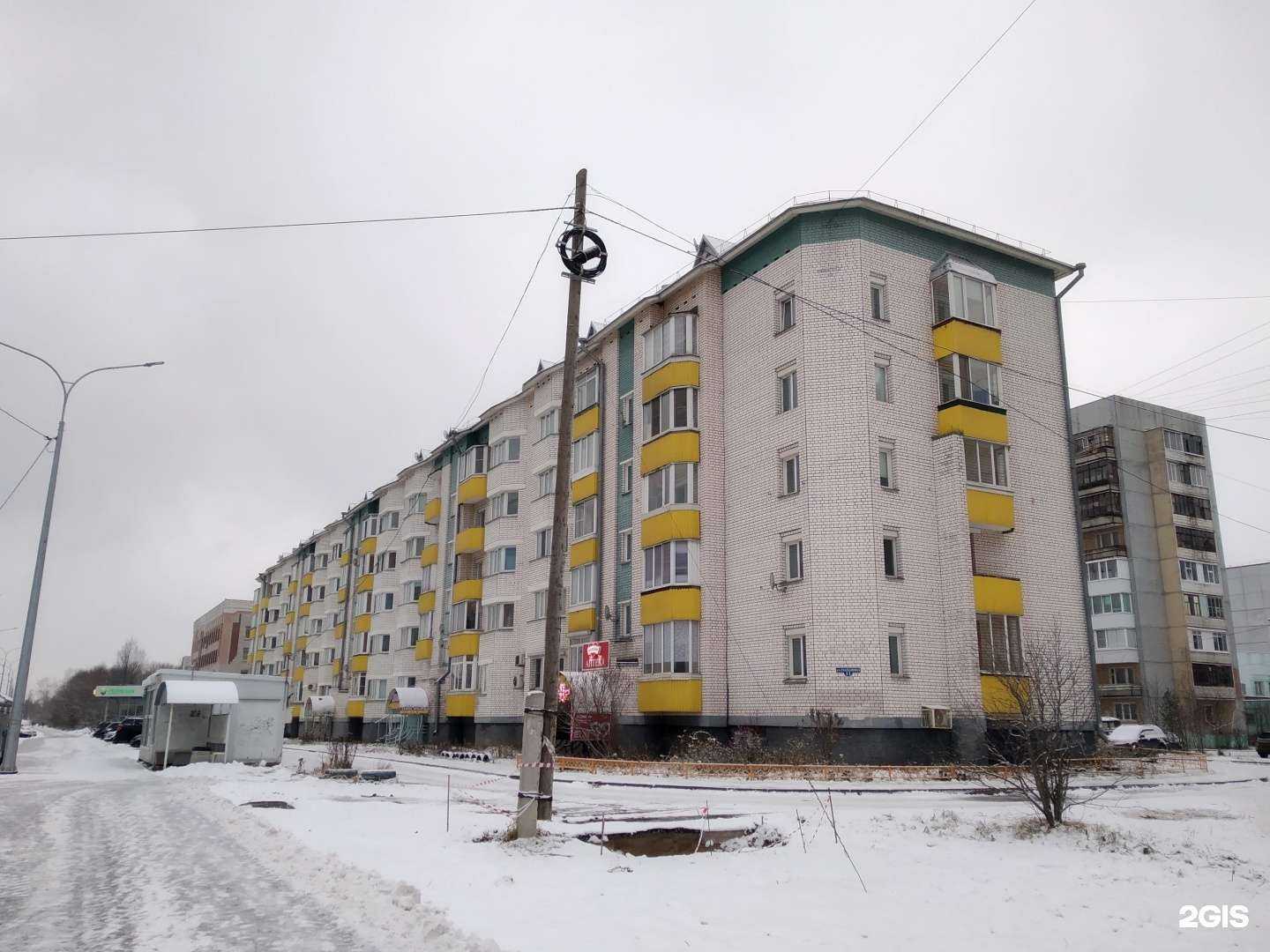 Отзывы на компанию Дачник в Архангельске c фото - фотография 2 из 2