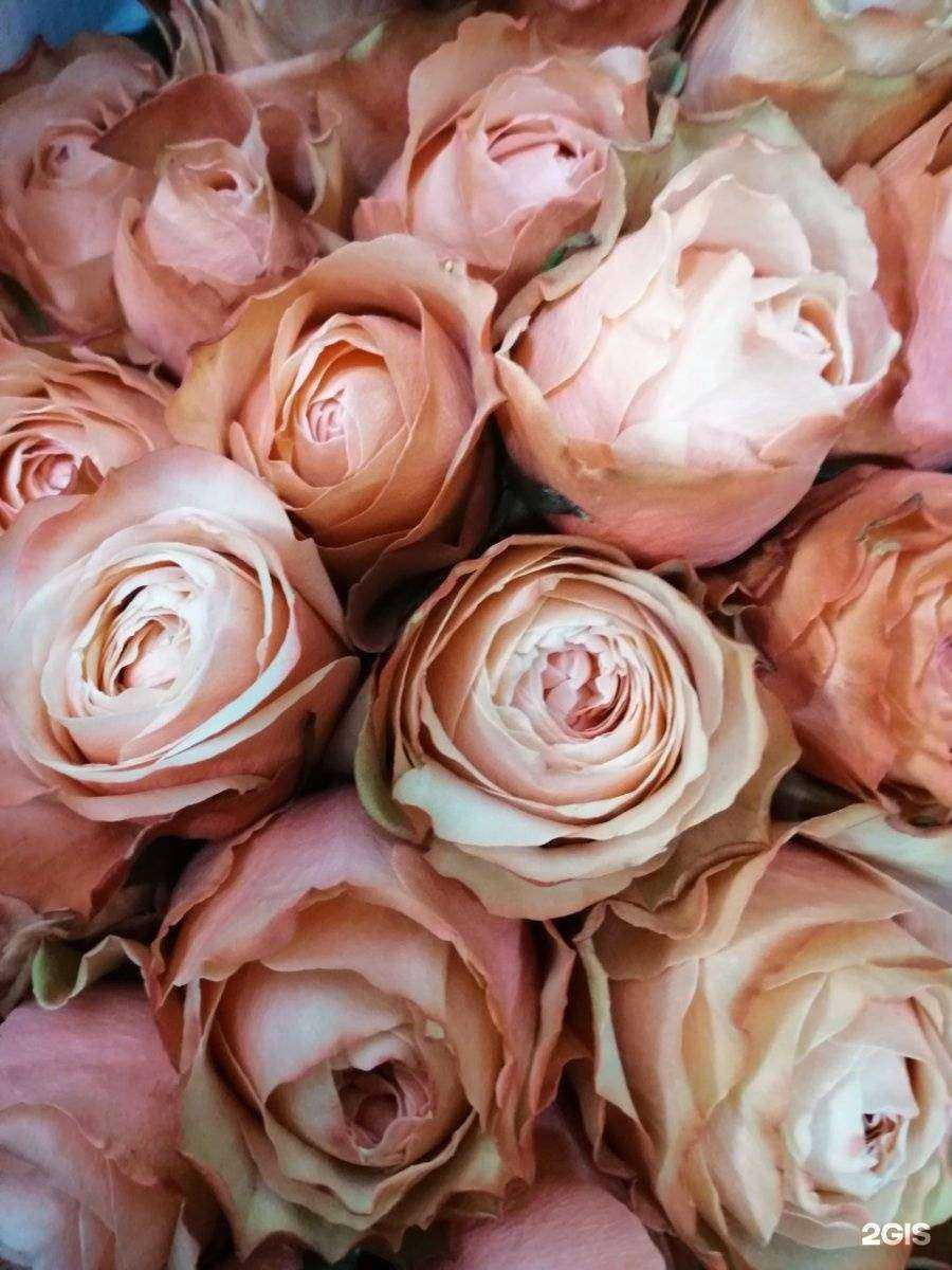 Отзывы на компанию БлагоДарю в г. Красноярск c фото